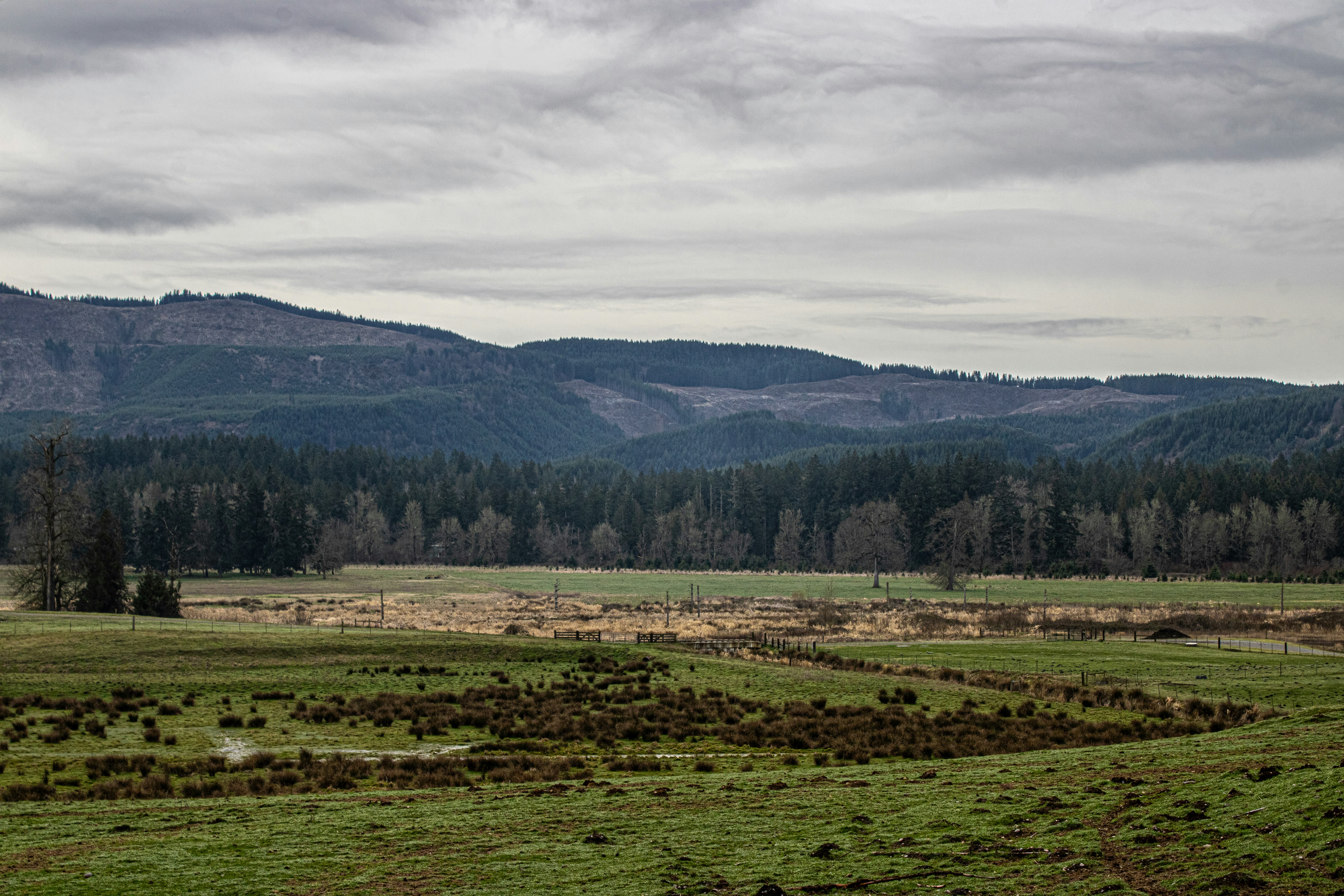 Photo by prphotography262