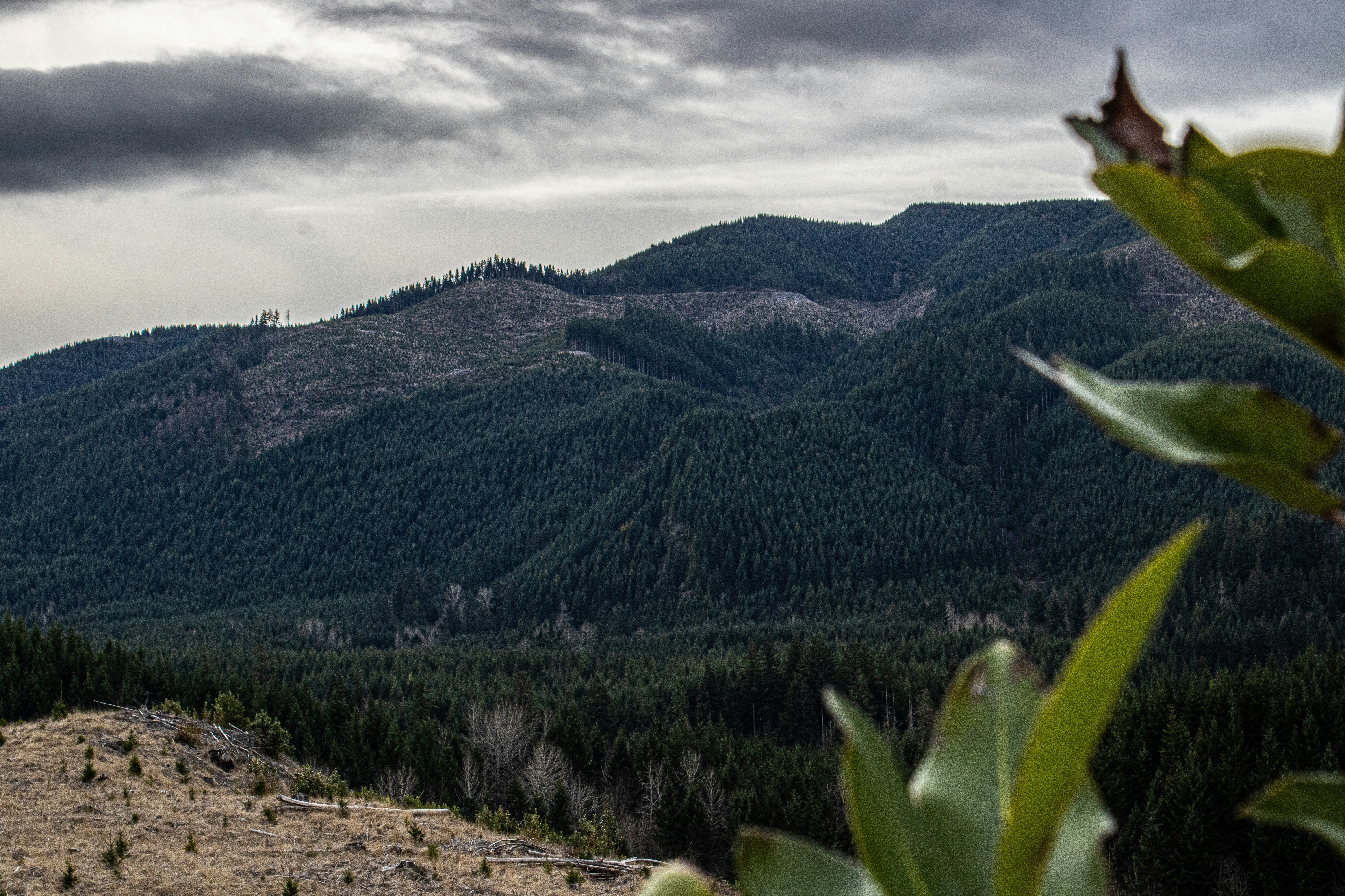 Photo by prphotography262