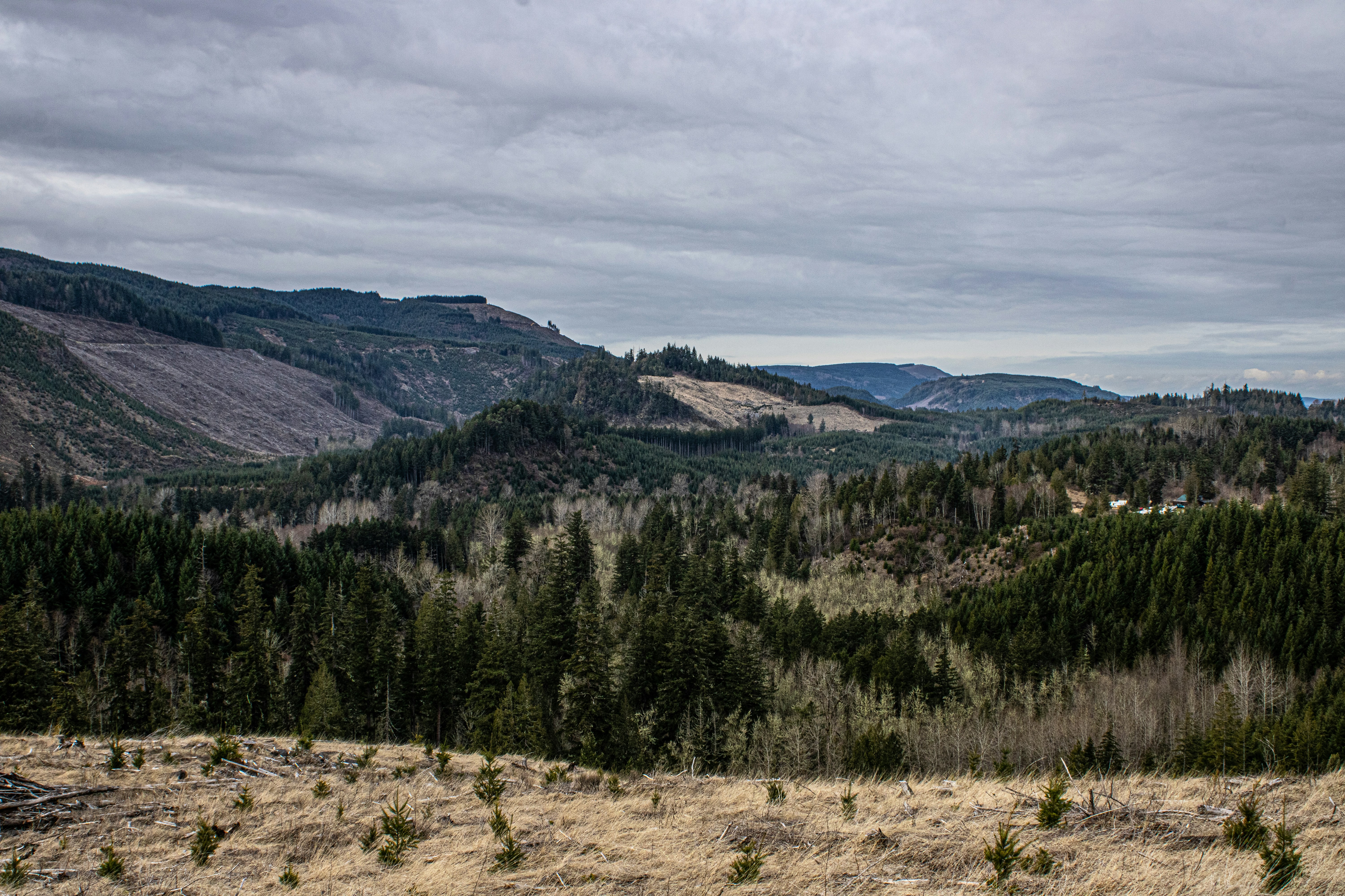 Photo by prphotography262