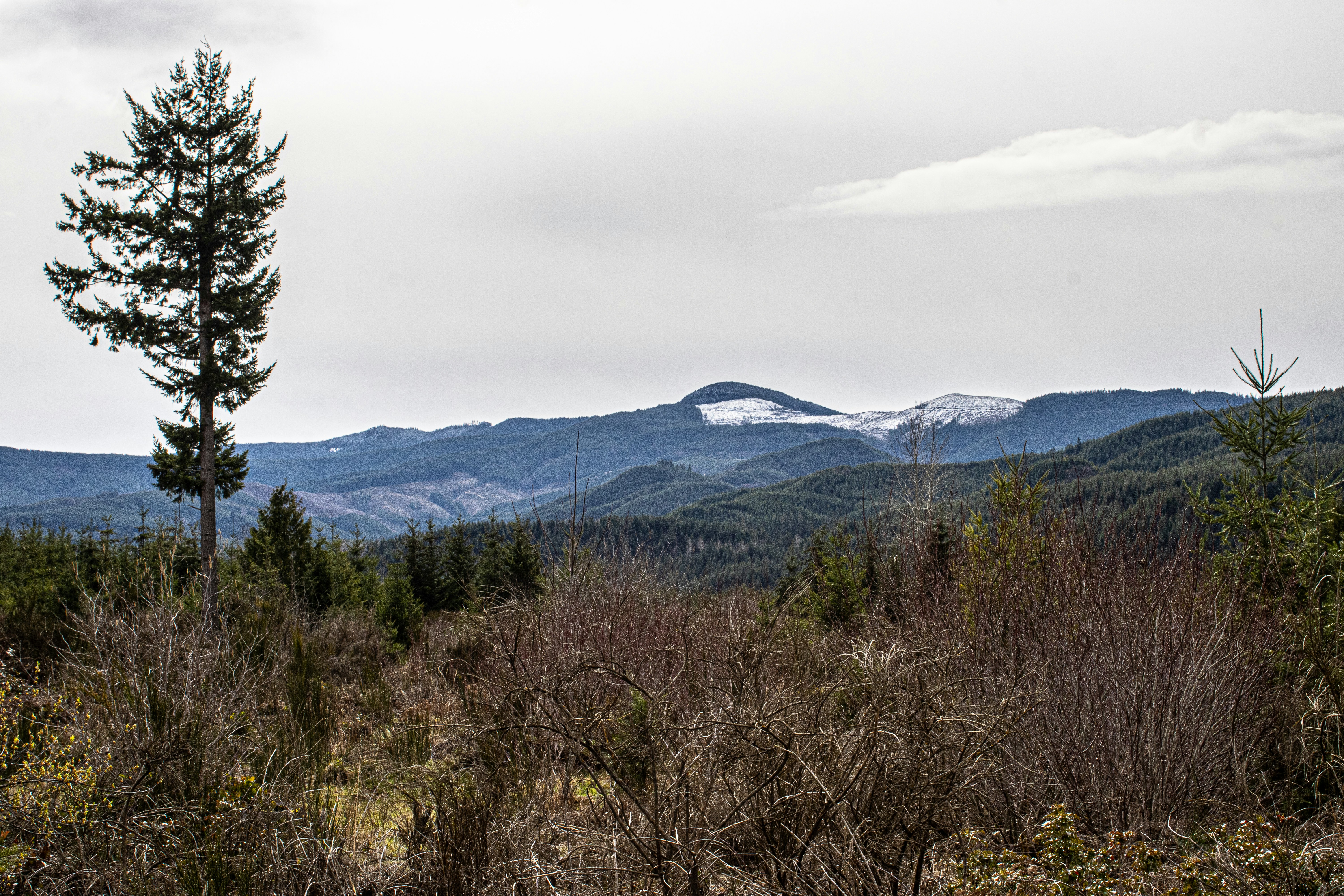 Photo by prphotography262