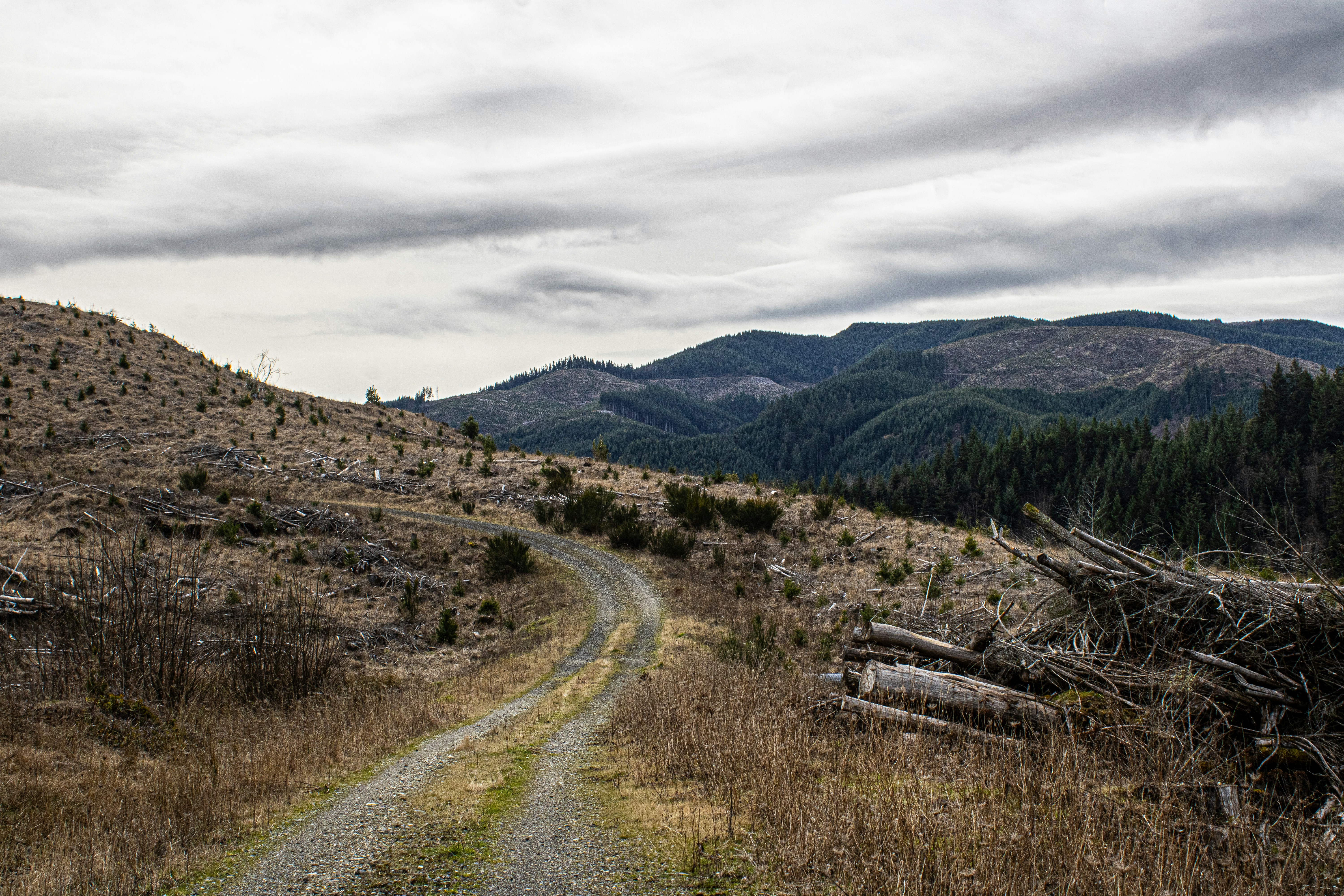 Photo by prphotography262