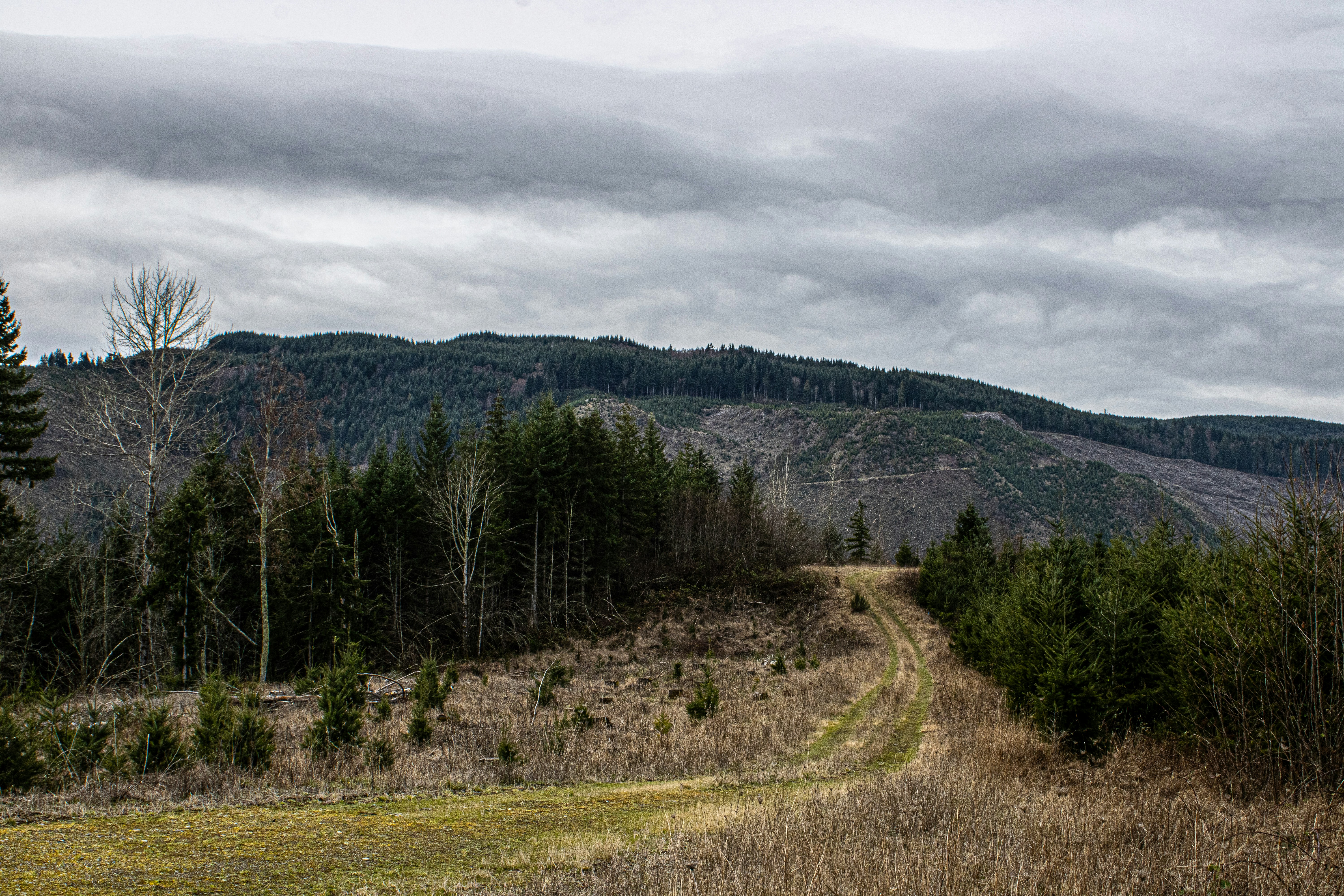 Photo by prphotography262