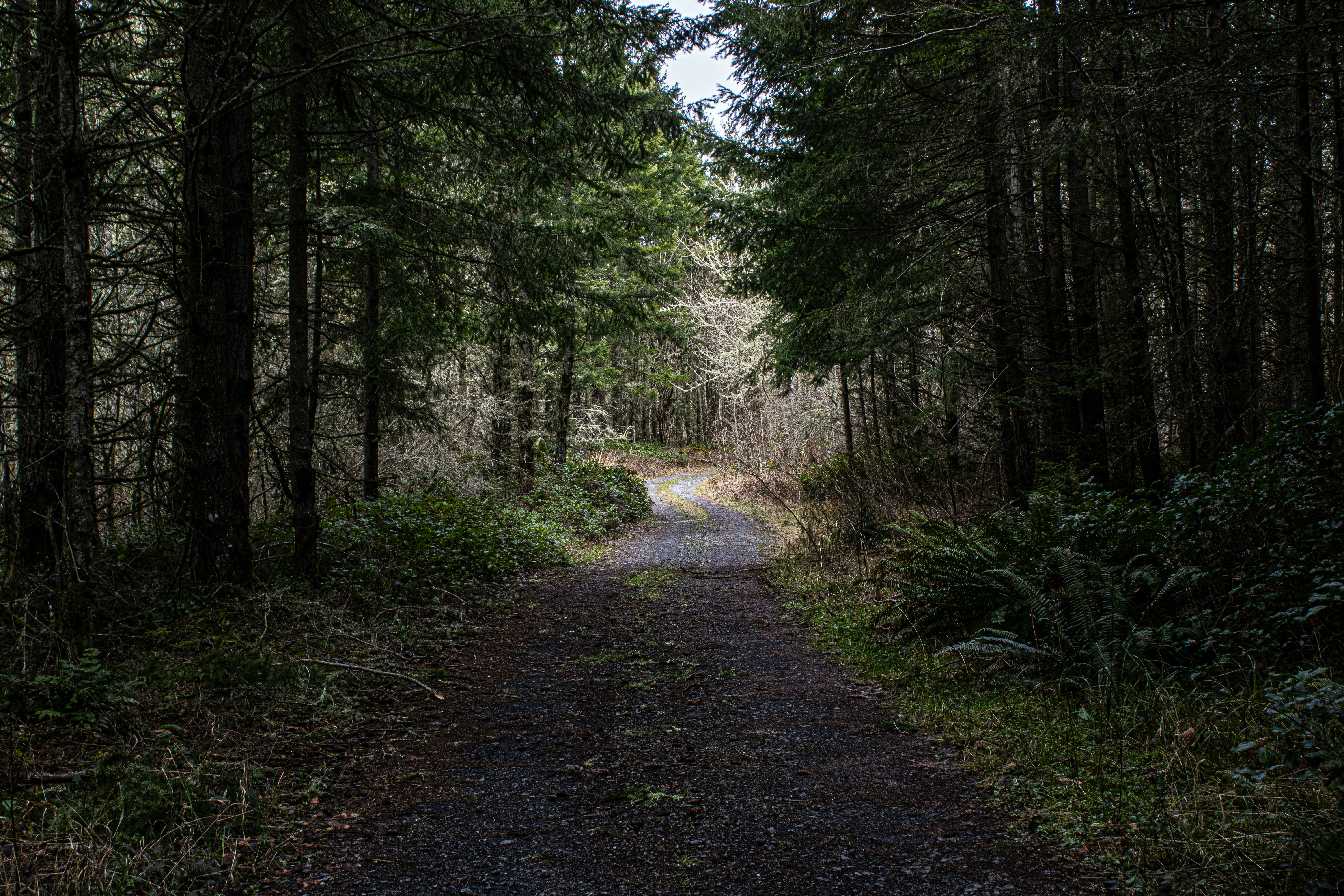 Photo by prphotography262