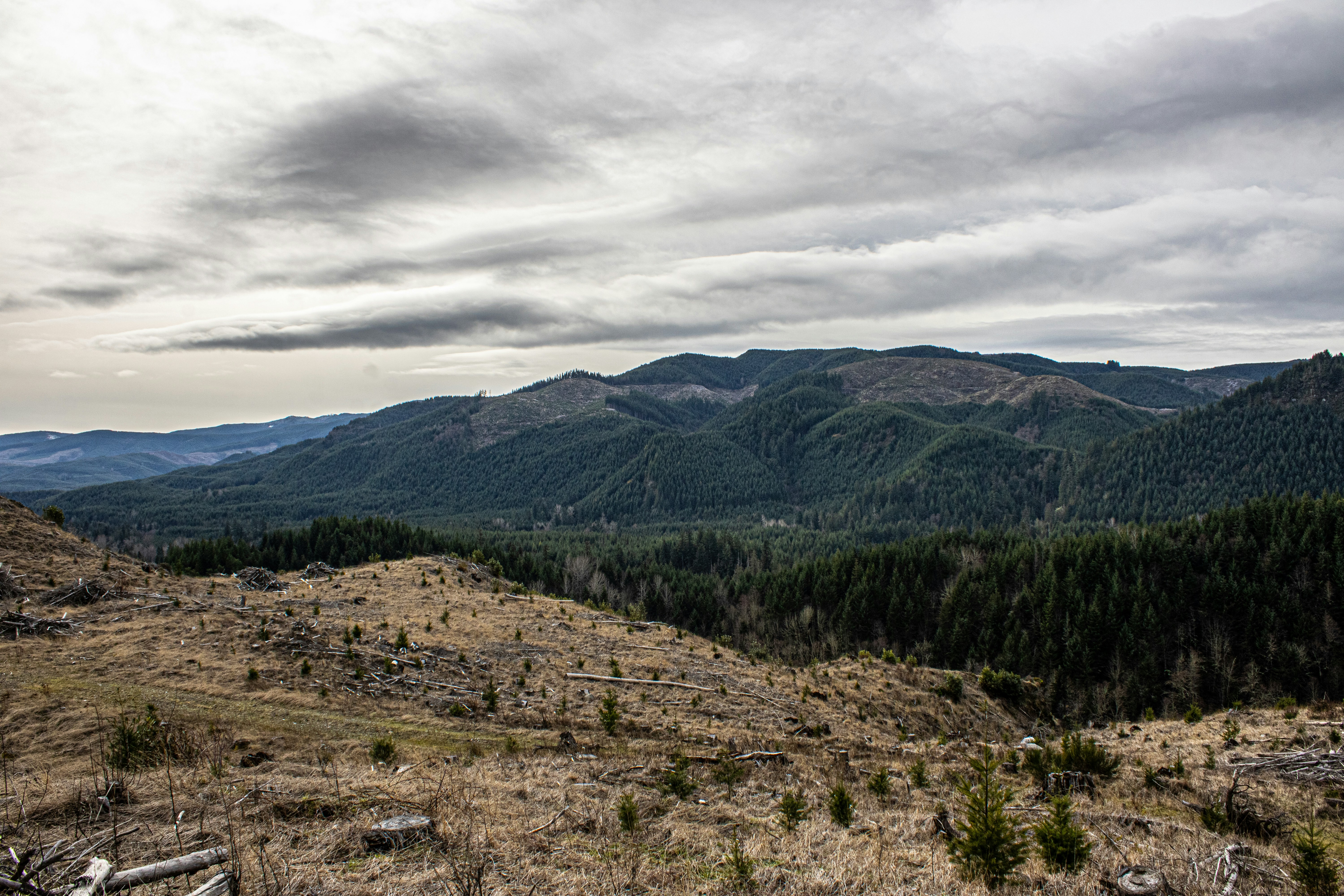 Photo by prphotography262