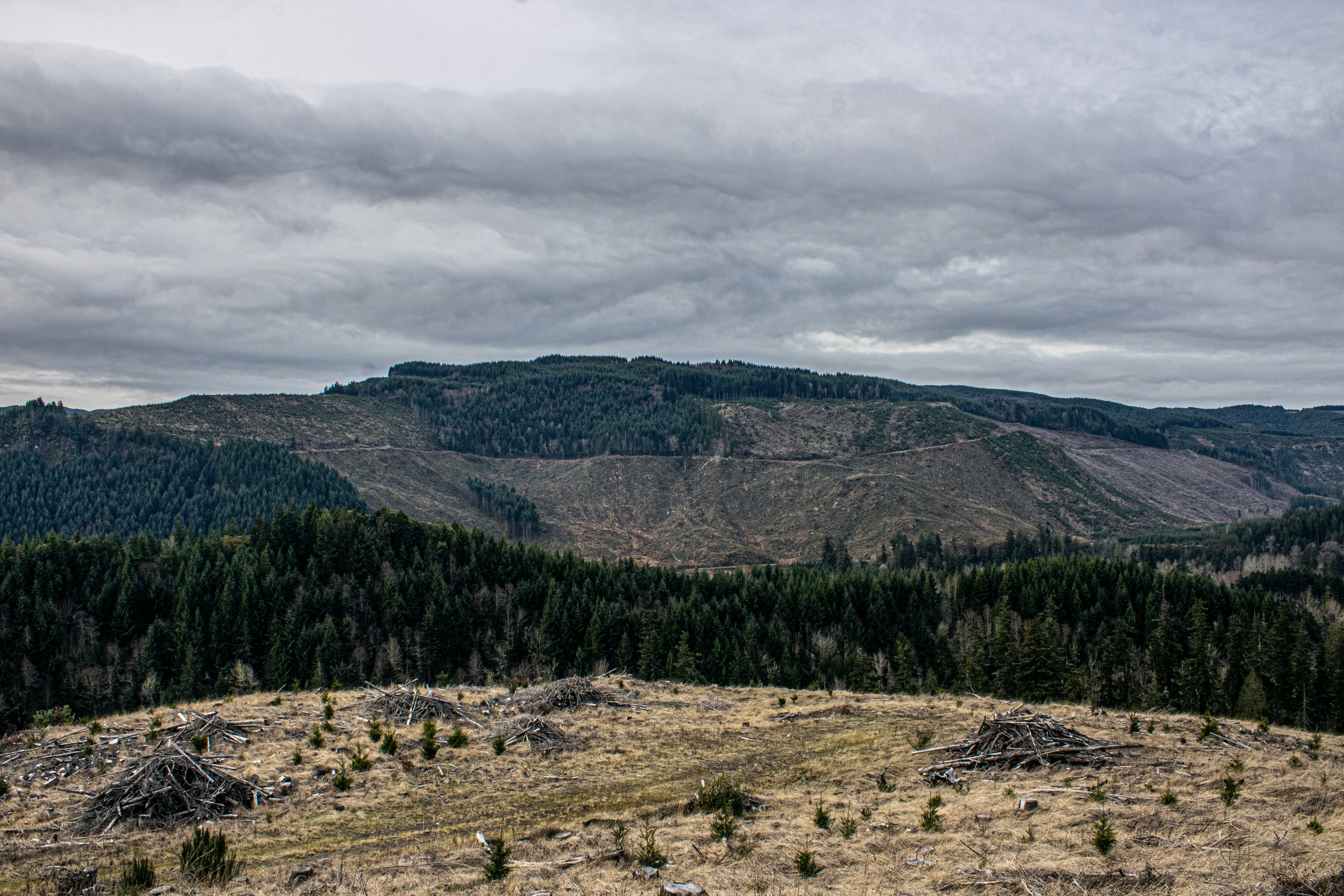 Photo by prphotography262