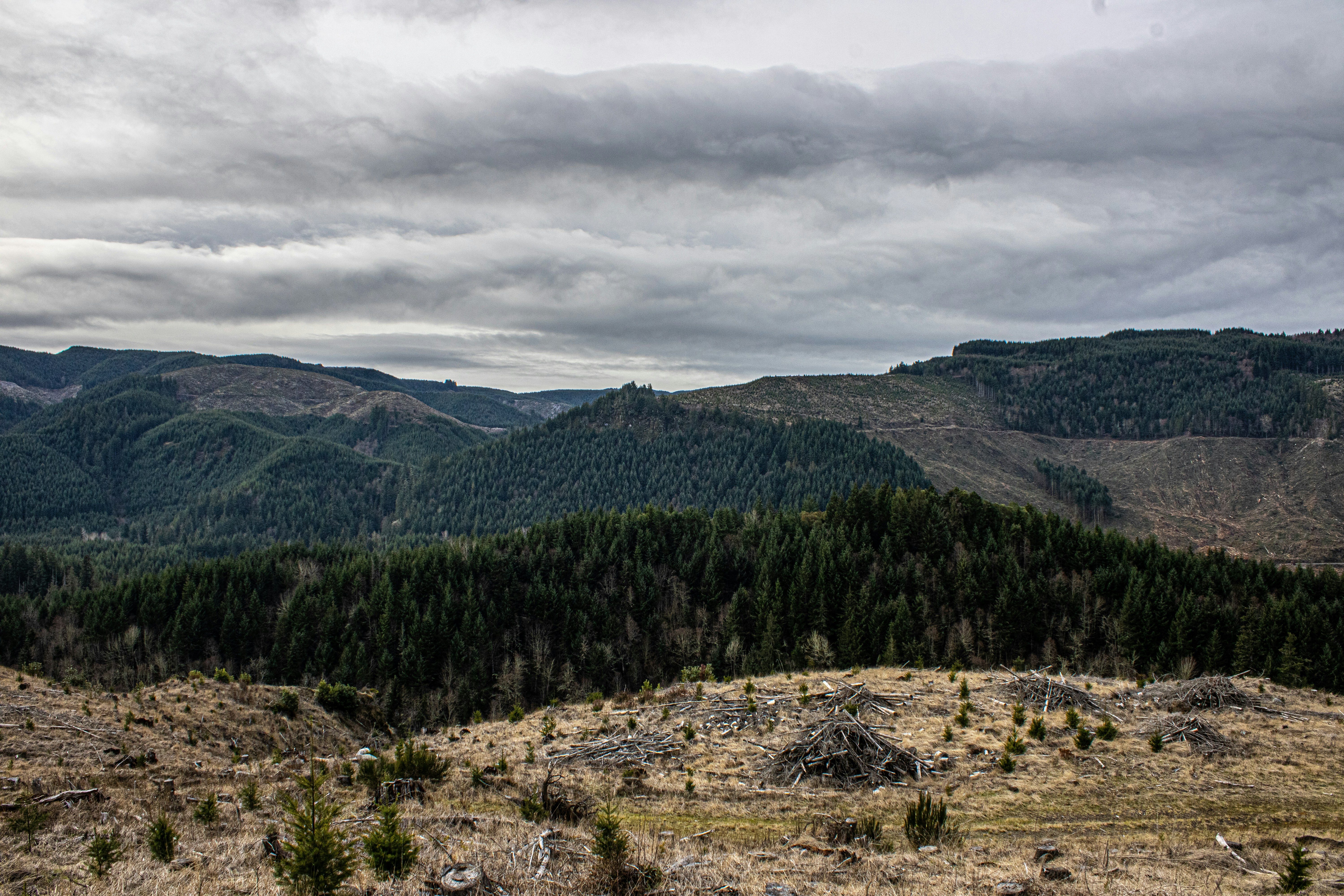 Photo by prphotography262