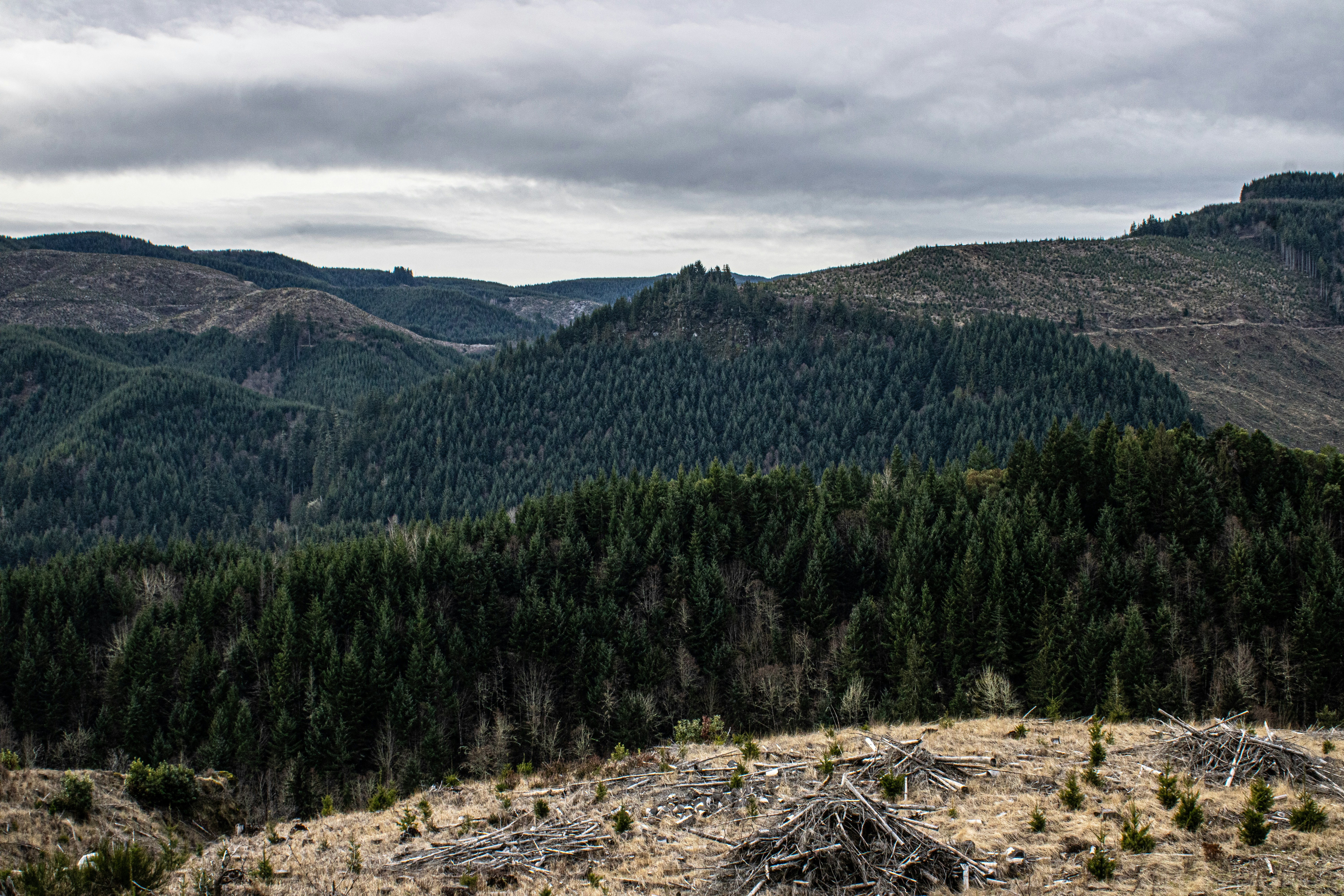 Photo by prphotography262