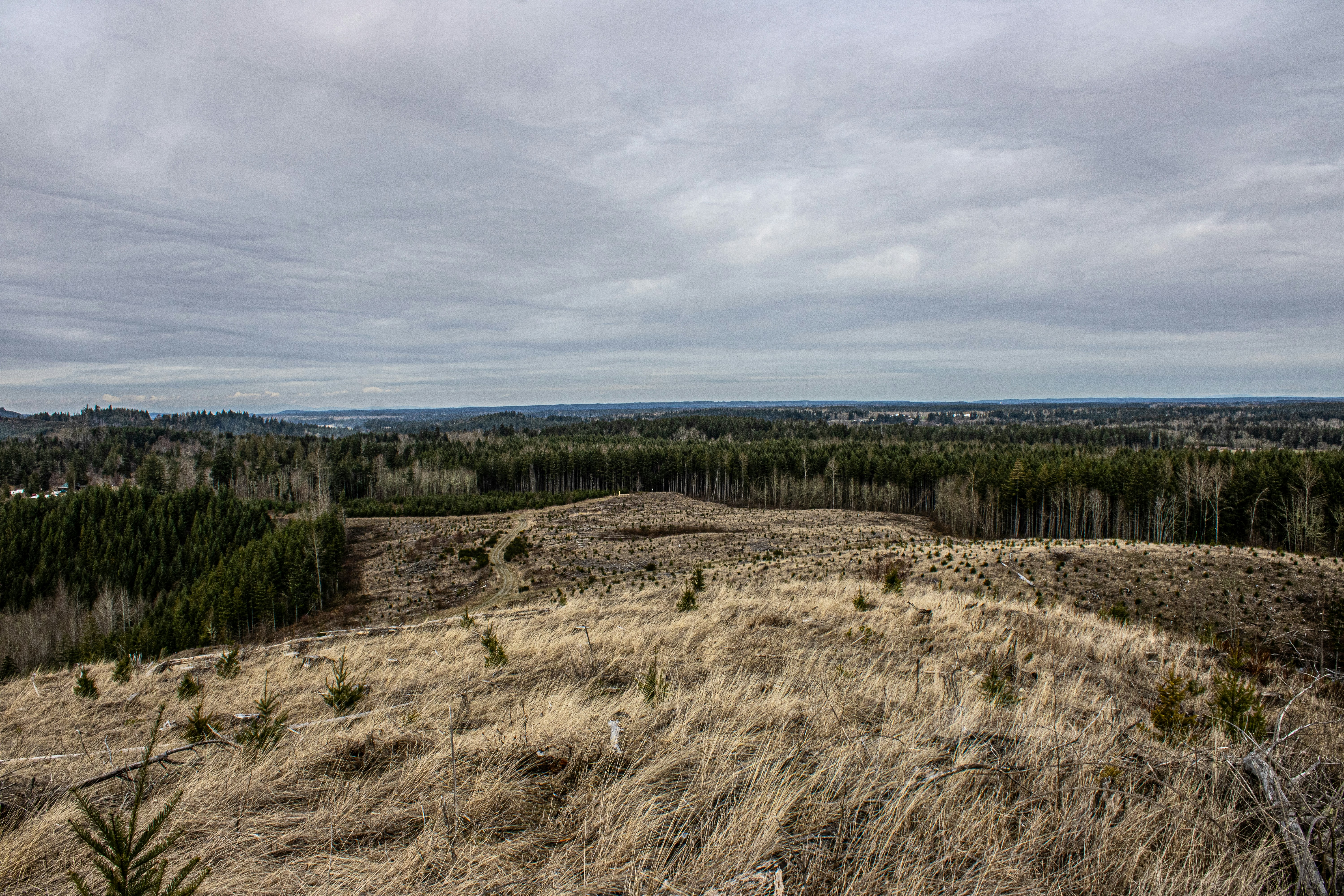 Photo by prphotography262