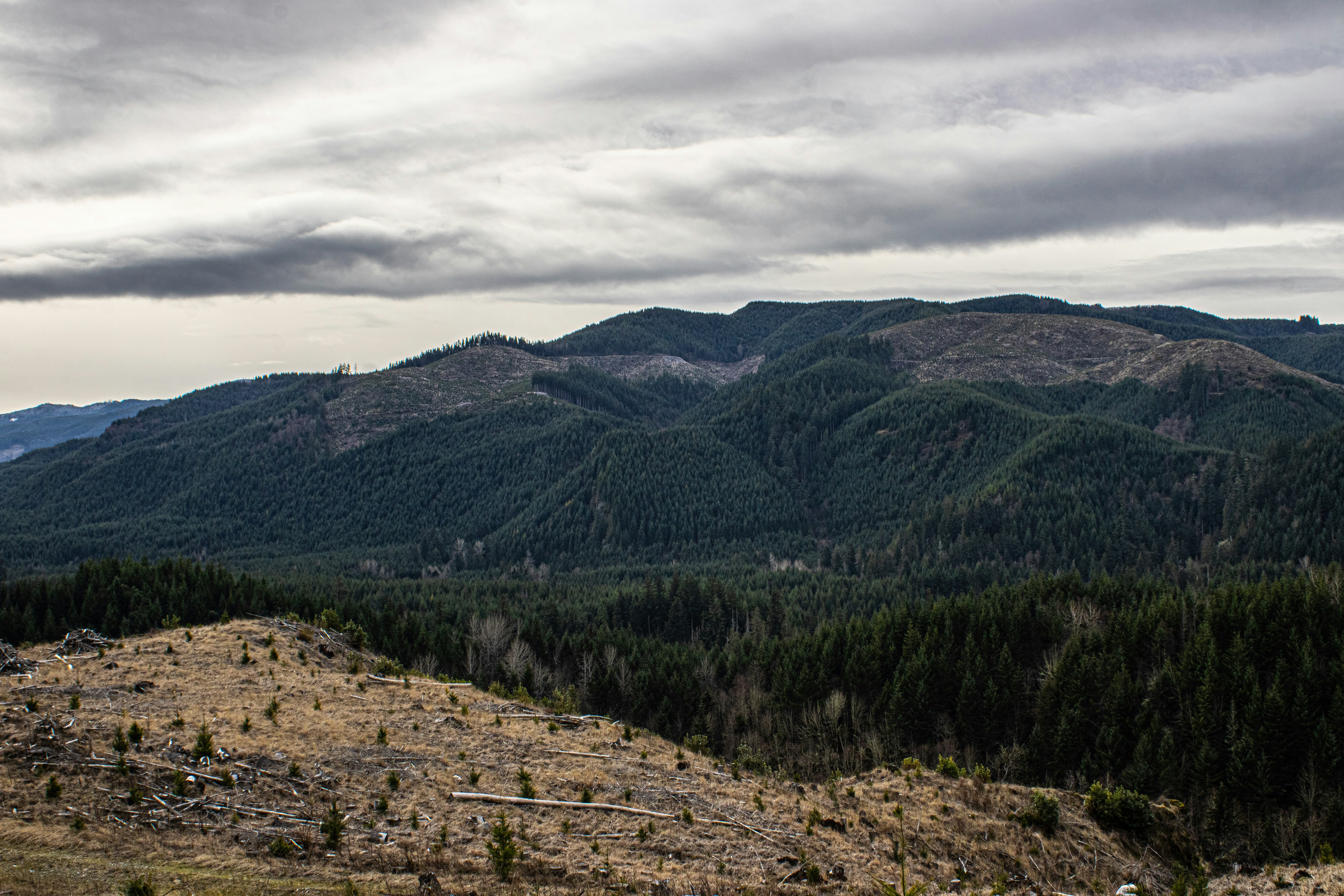 Photo by prphotography262