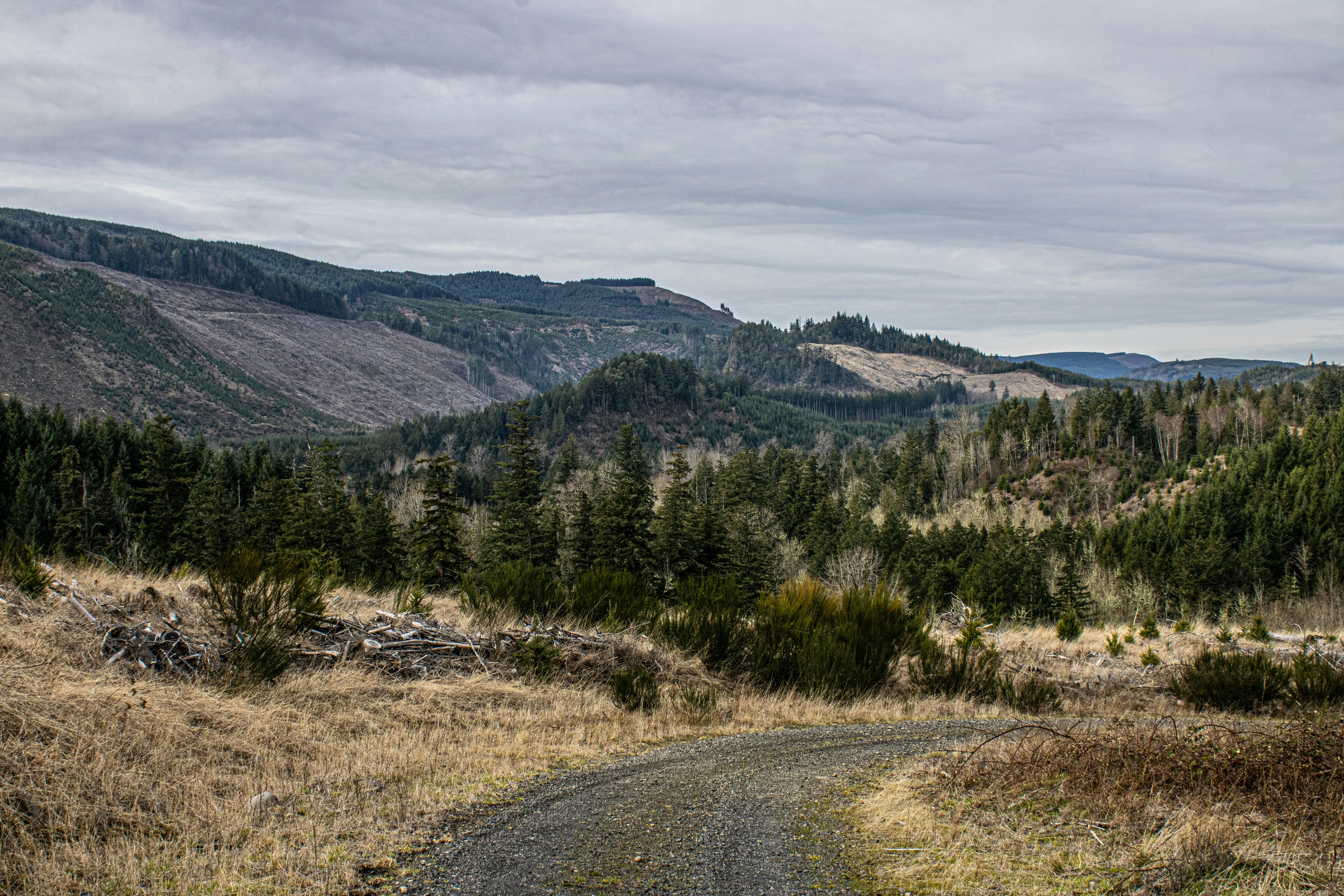 Photo by prphotography262