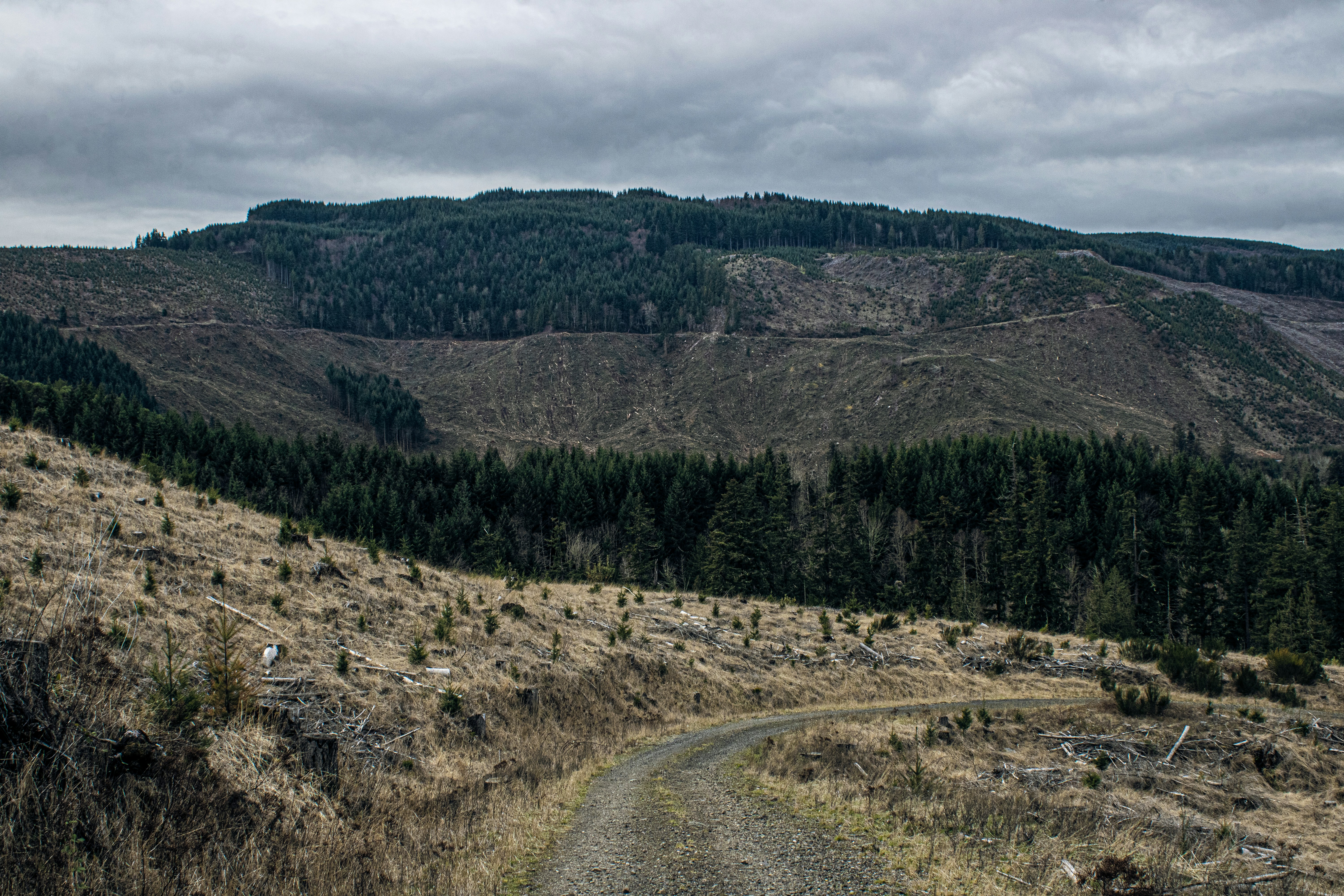 Photo by prphotography262