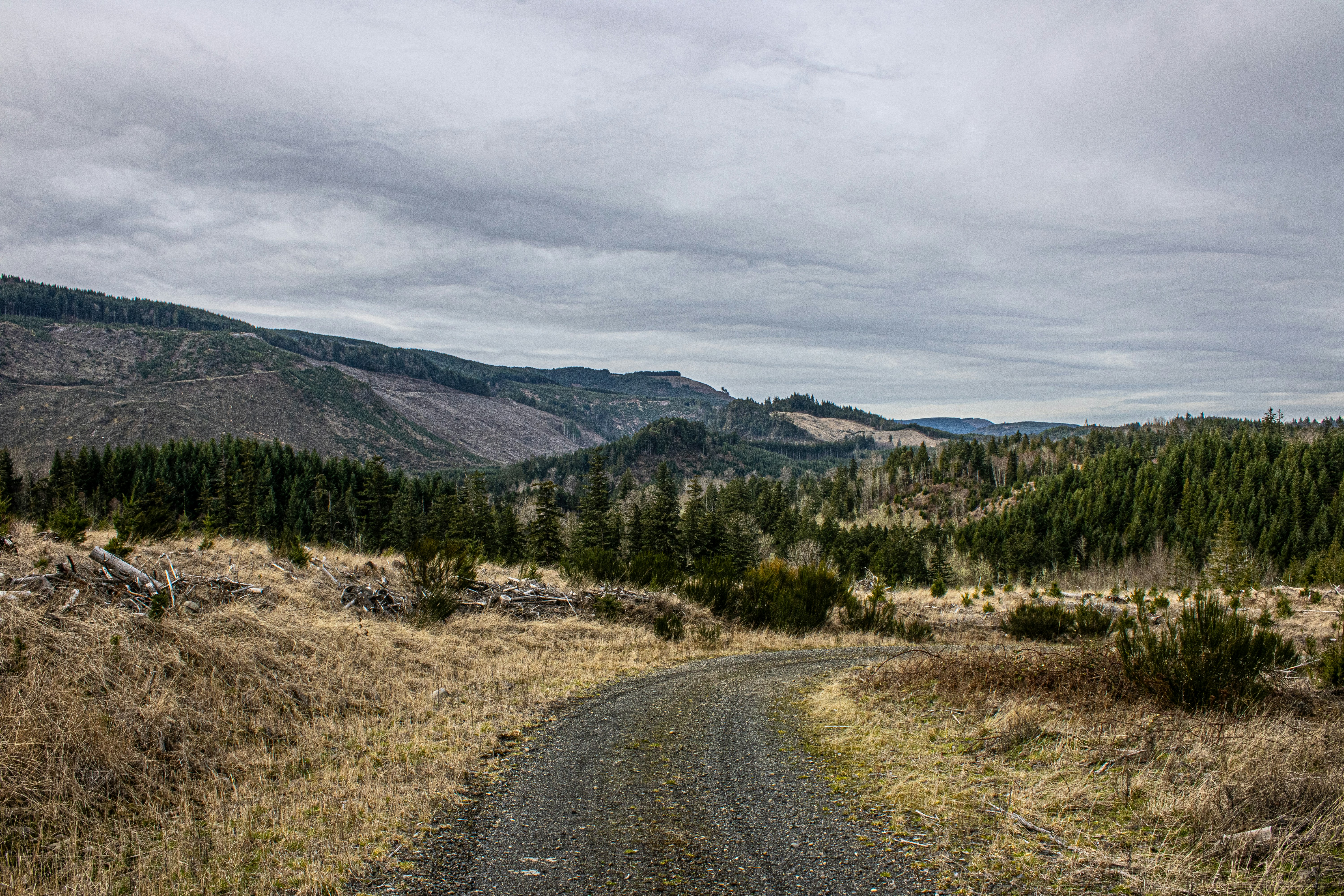 Photo by prphotography262