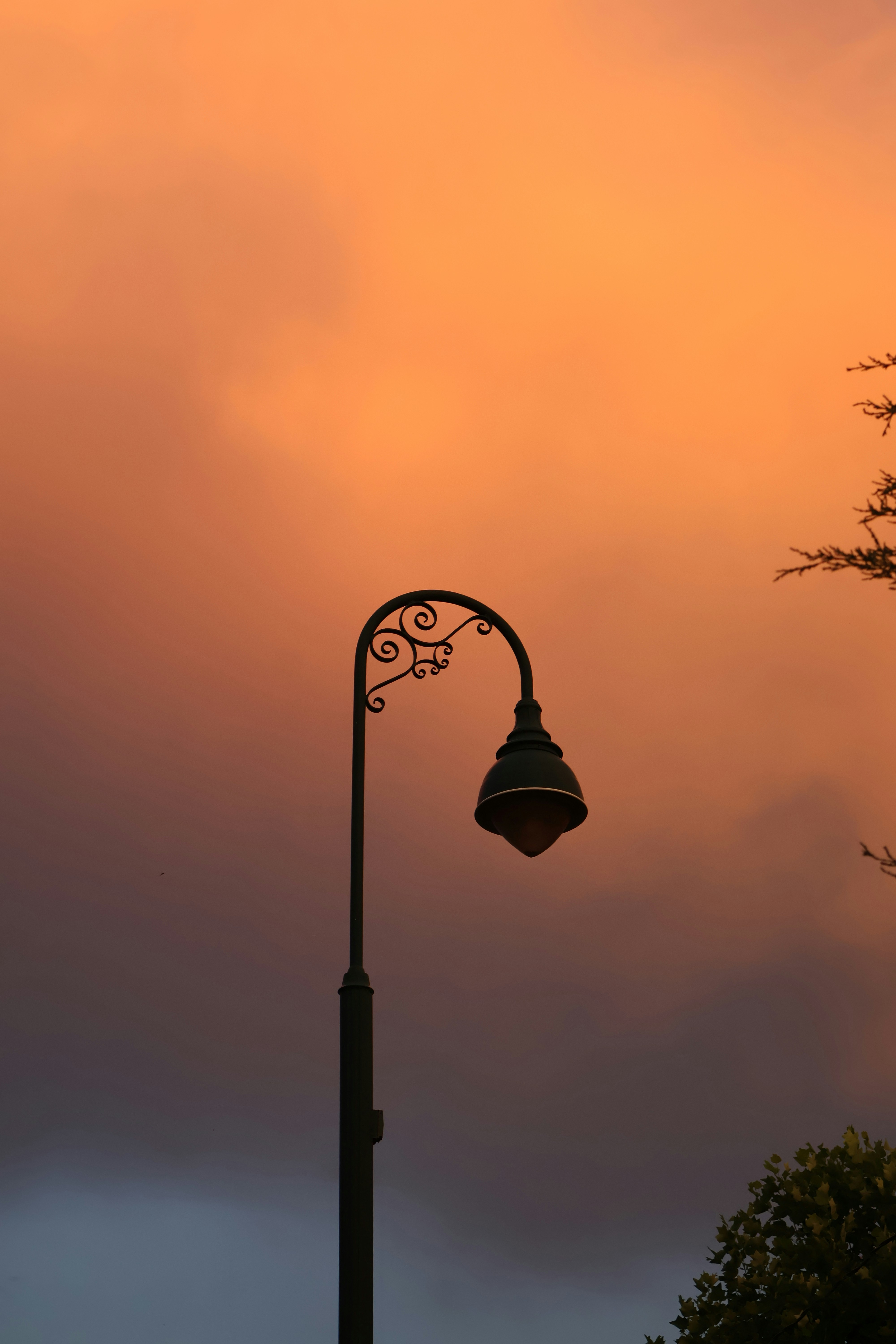 Photo by belanasaikiran