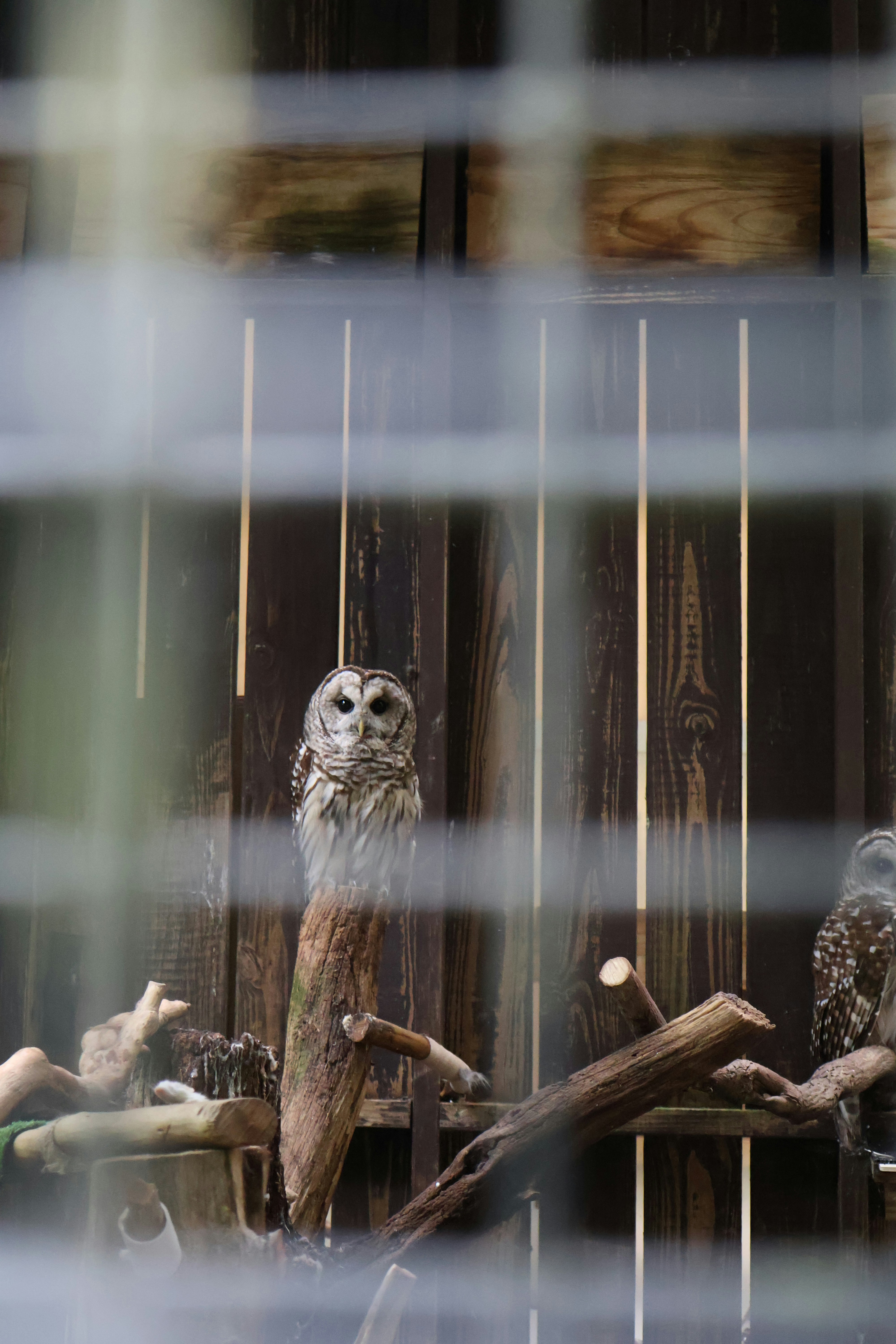 Photo by belanasaikiran