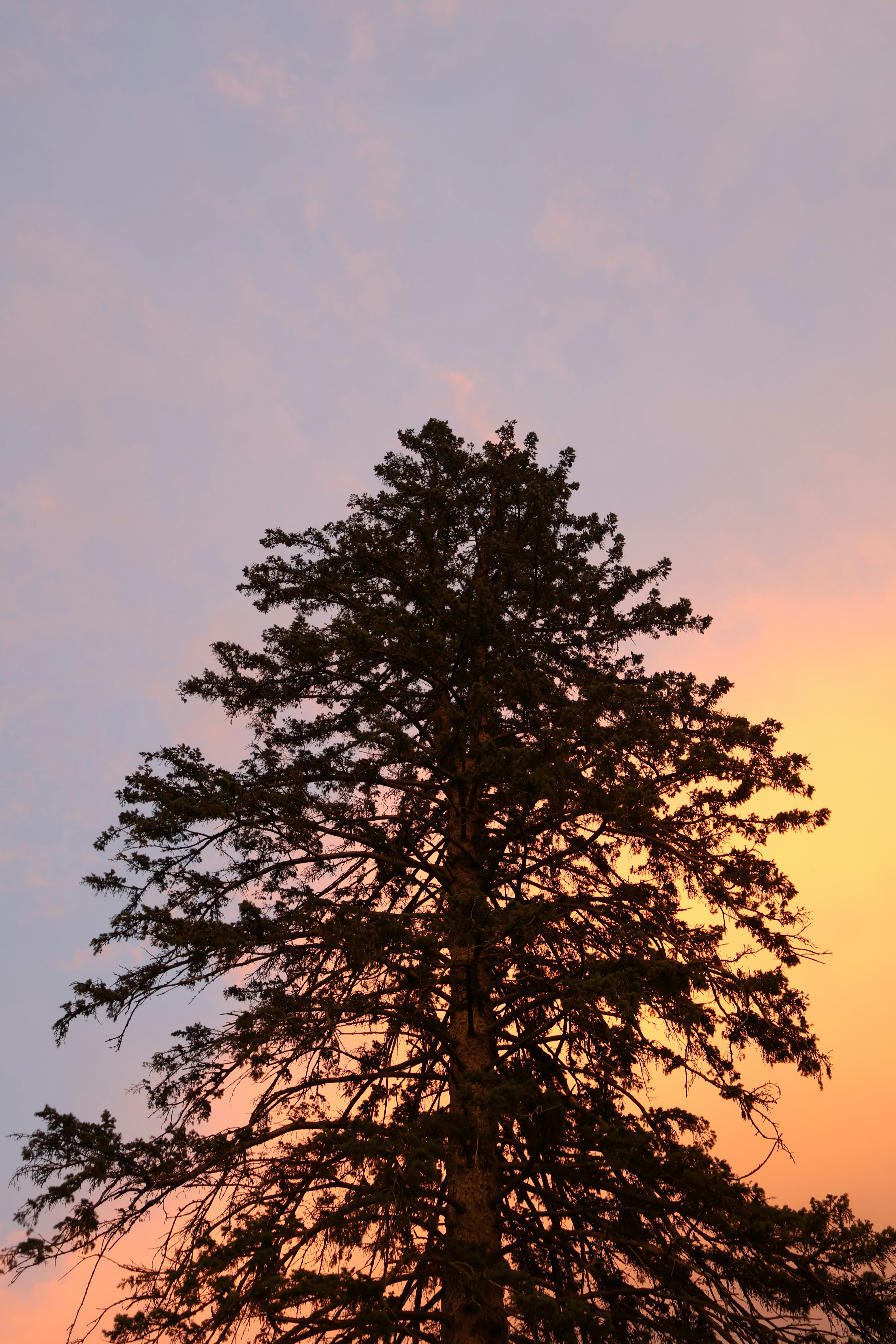 Photo by belanasaikiran