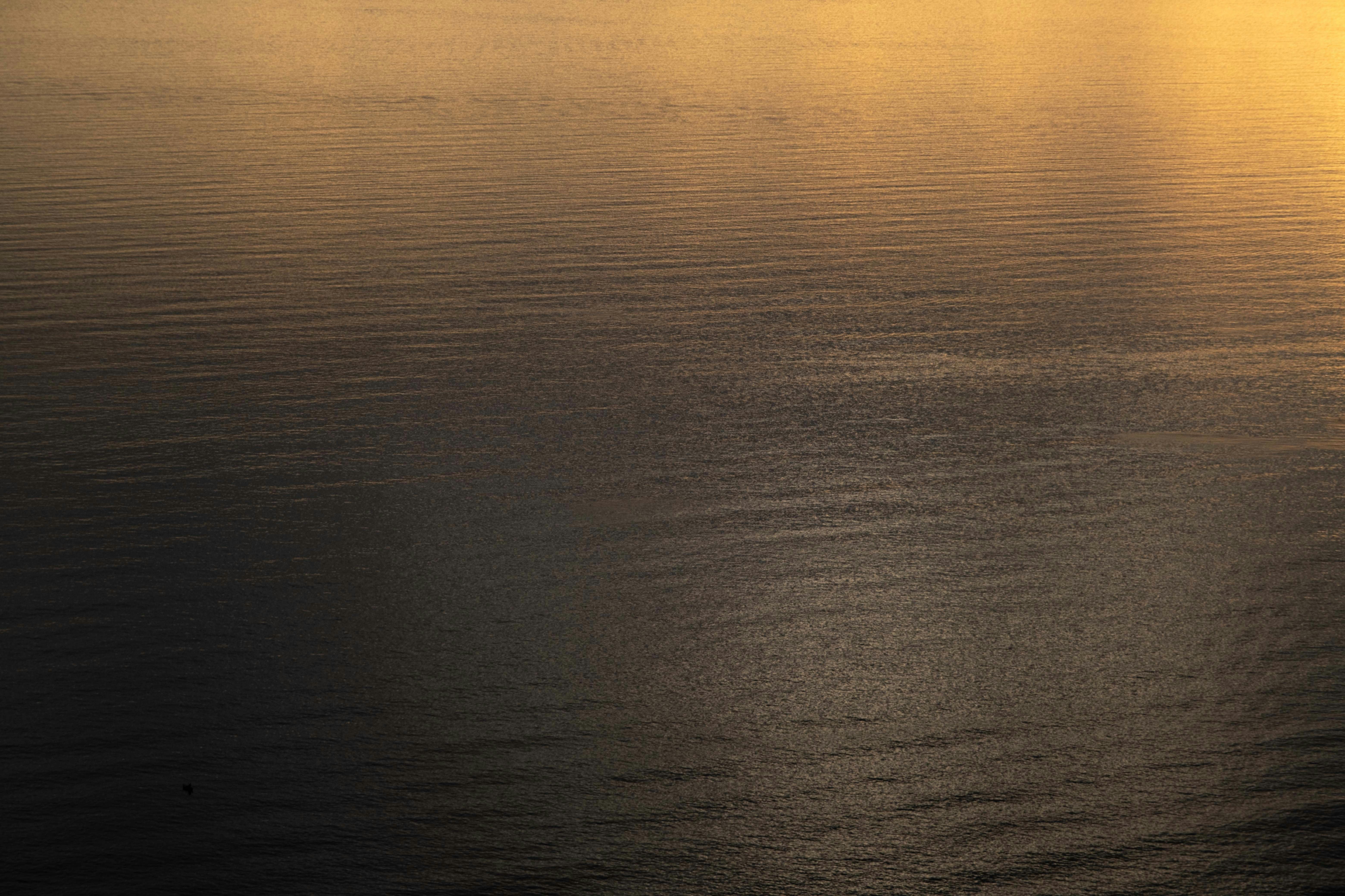 Photo by francesco_ungaro