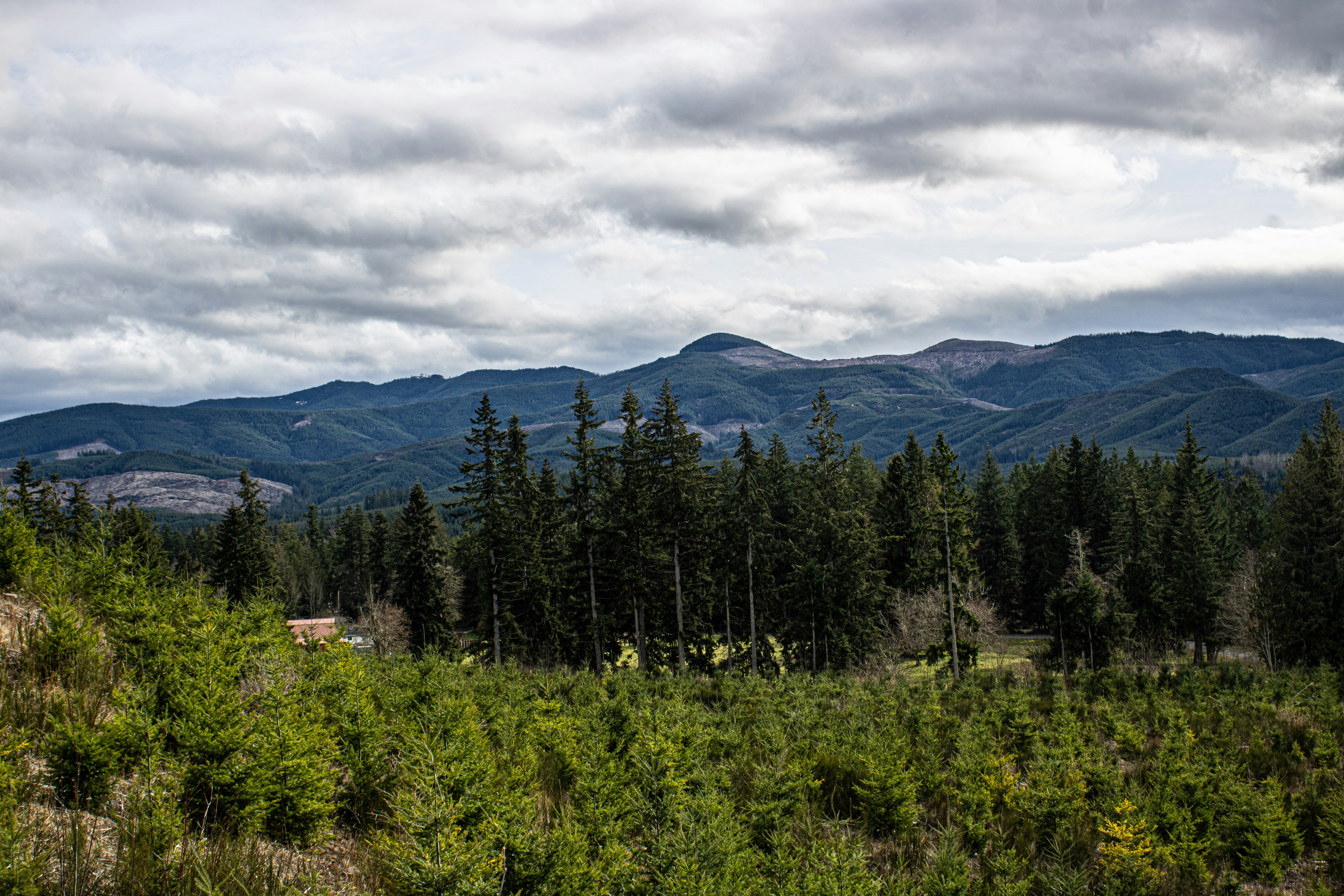 Photo by prphotography262