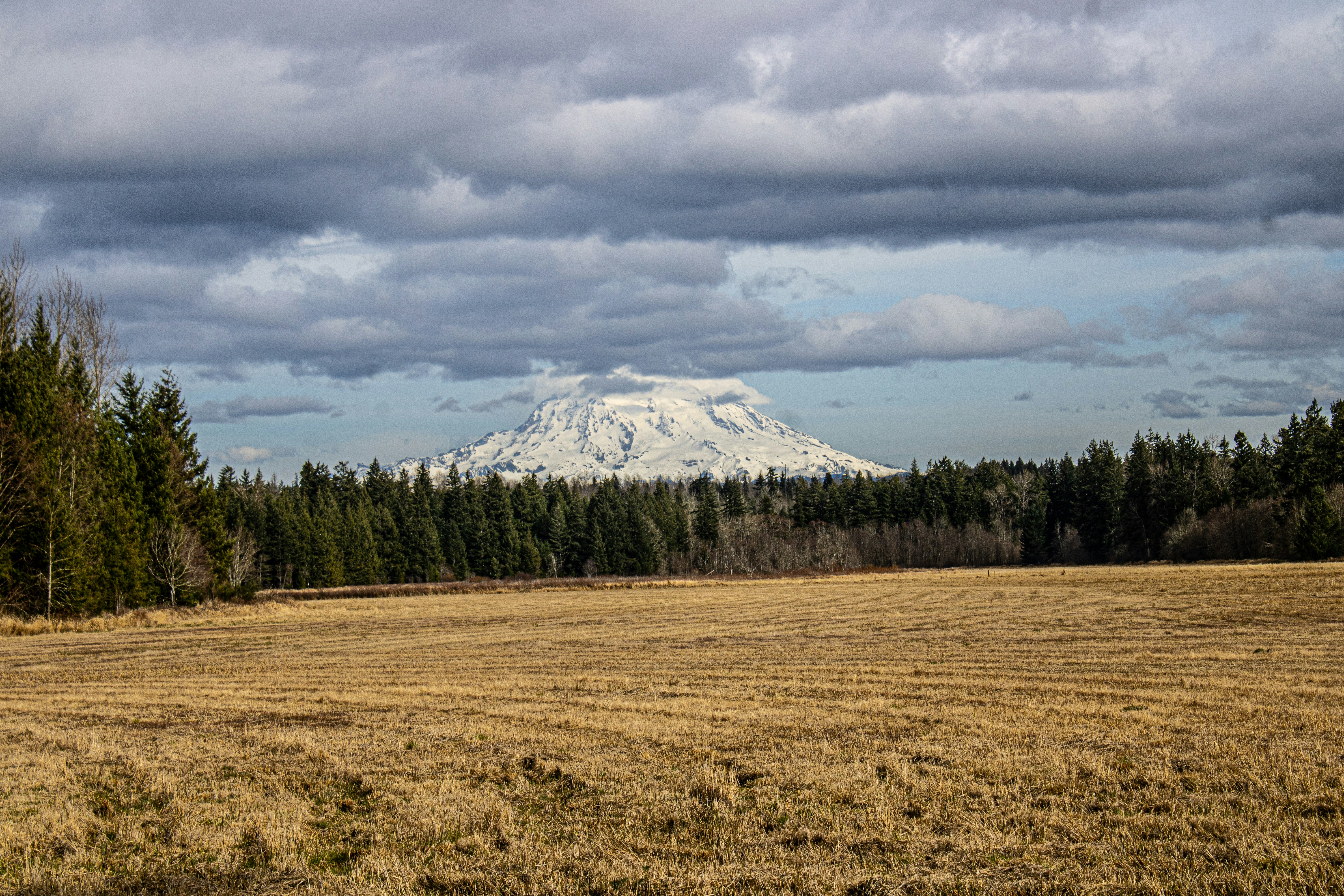 Photo by prphotography262