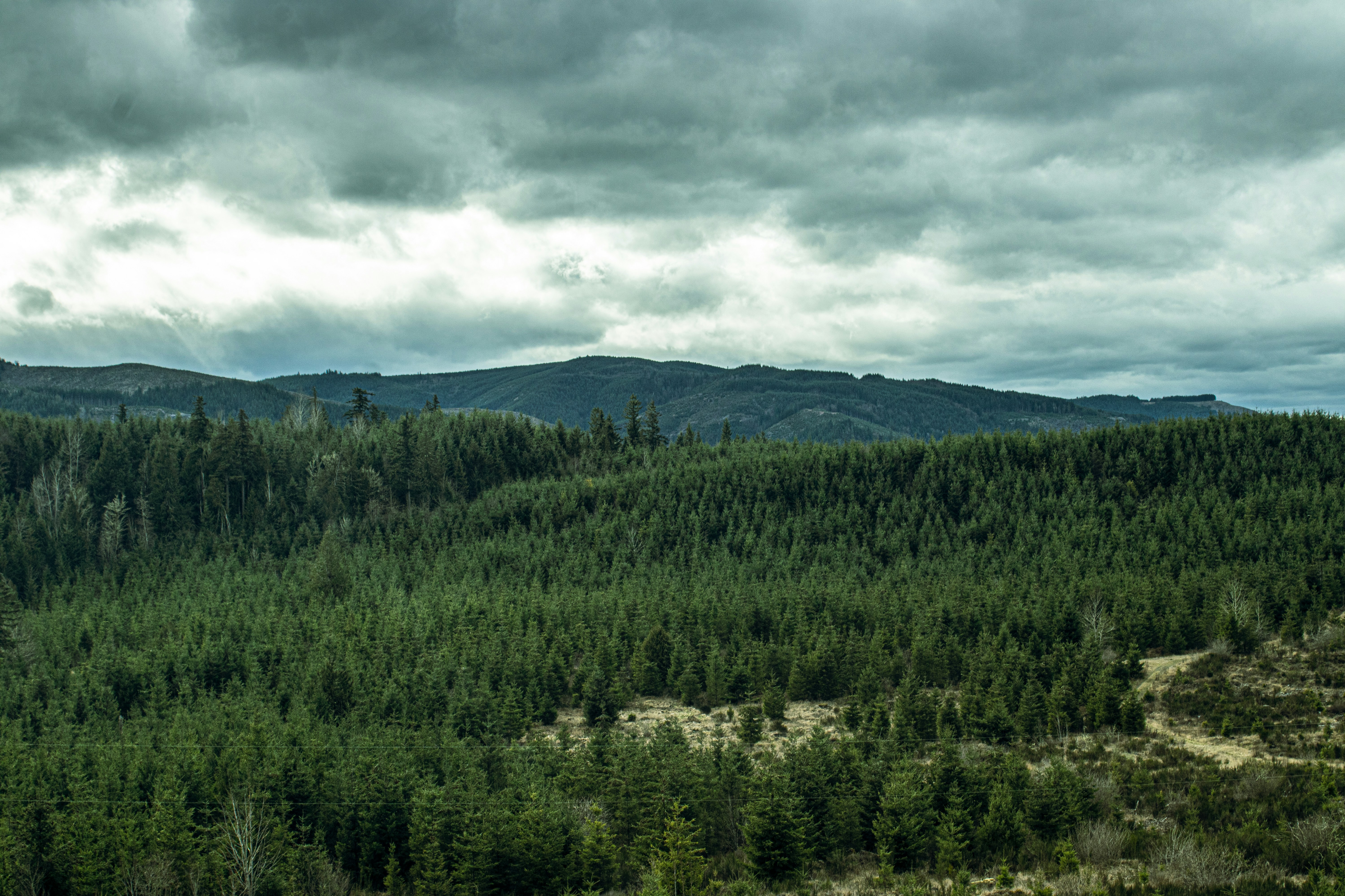 Photo by prphotography262