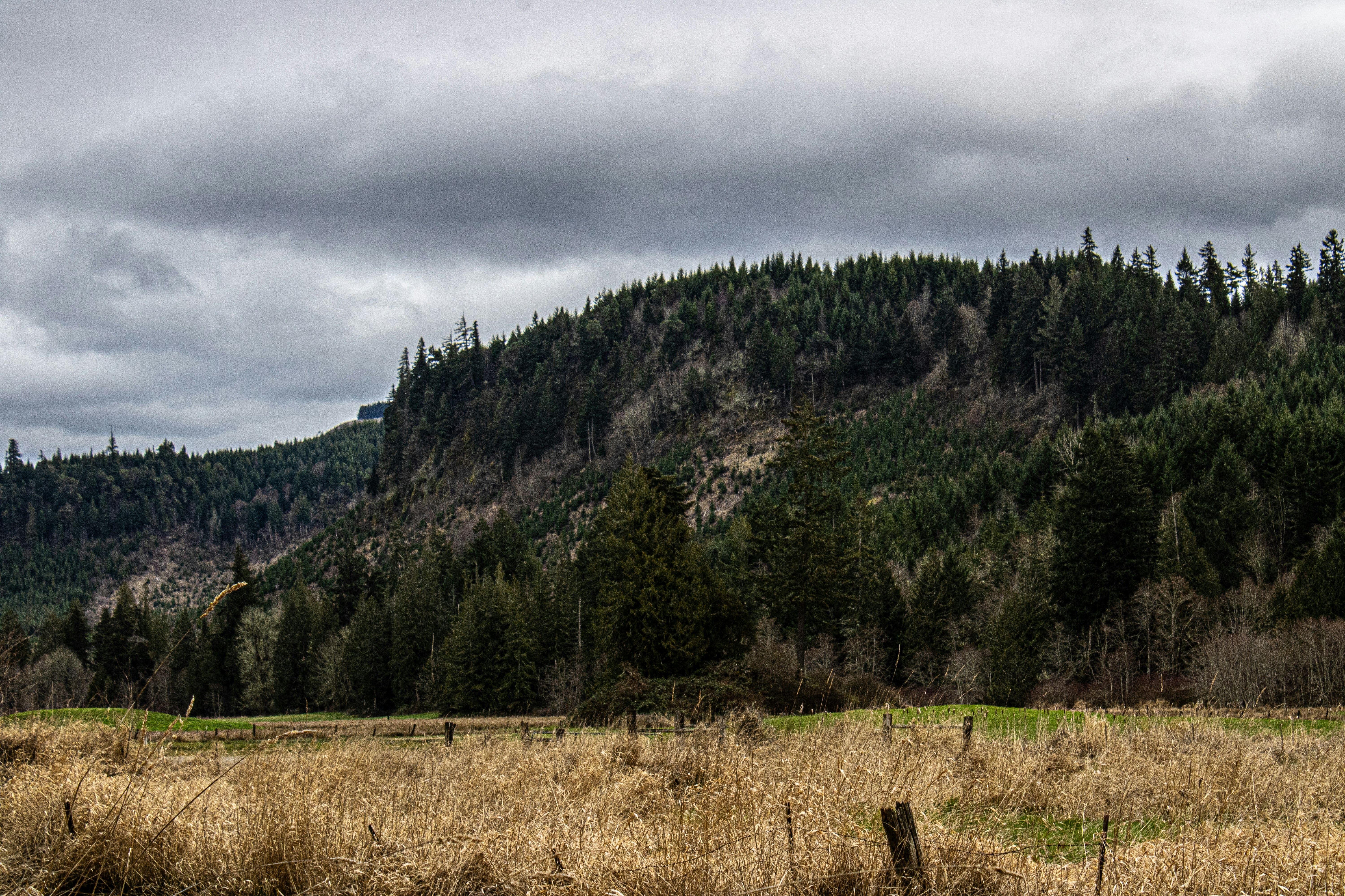 Photo by prphotography262