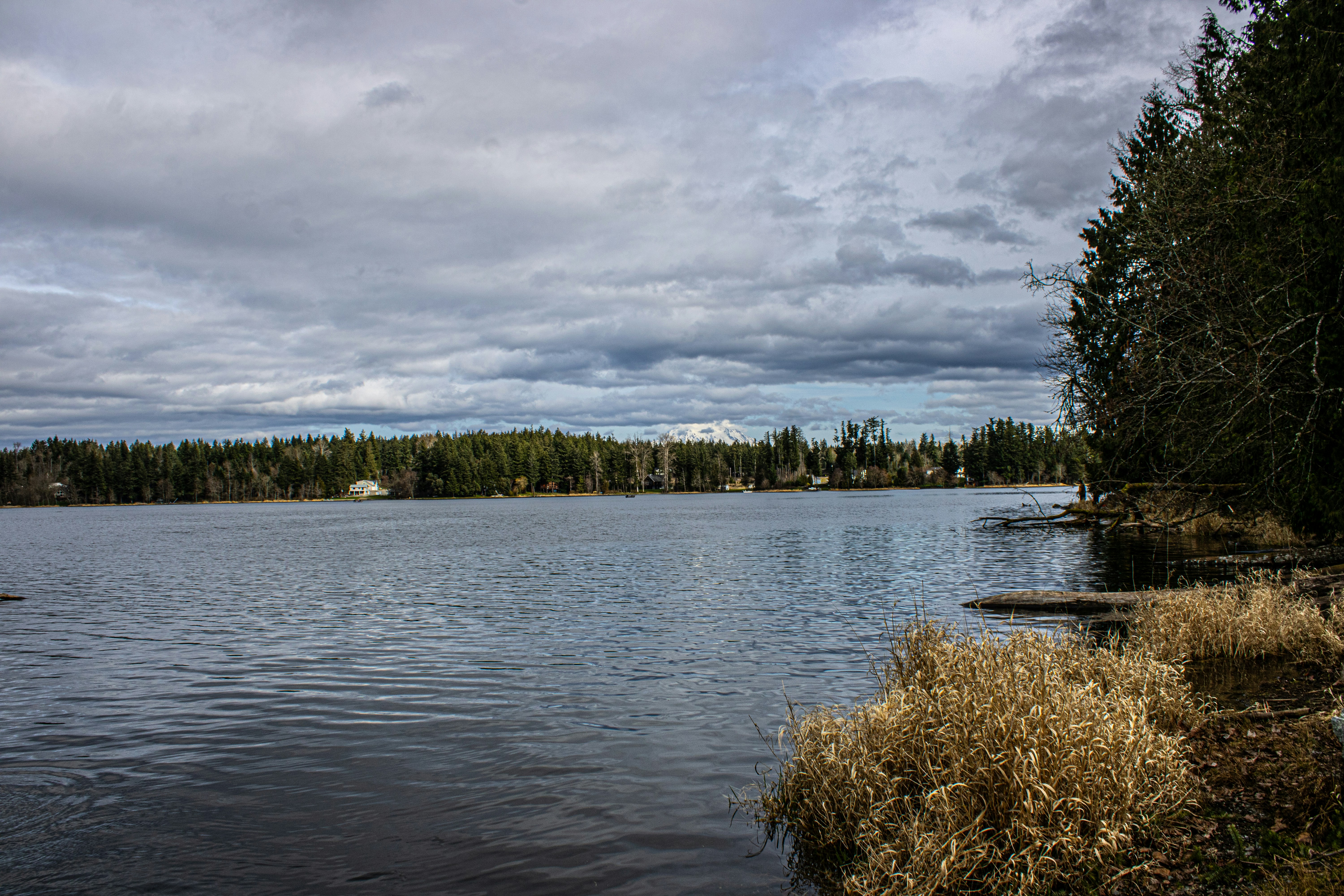 Photo by prphotography262