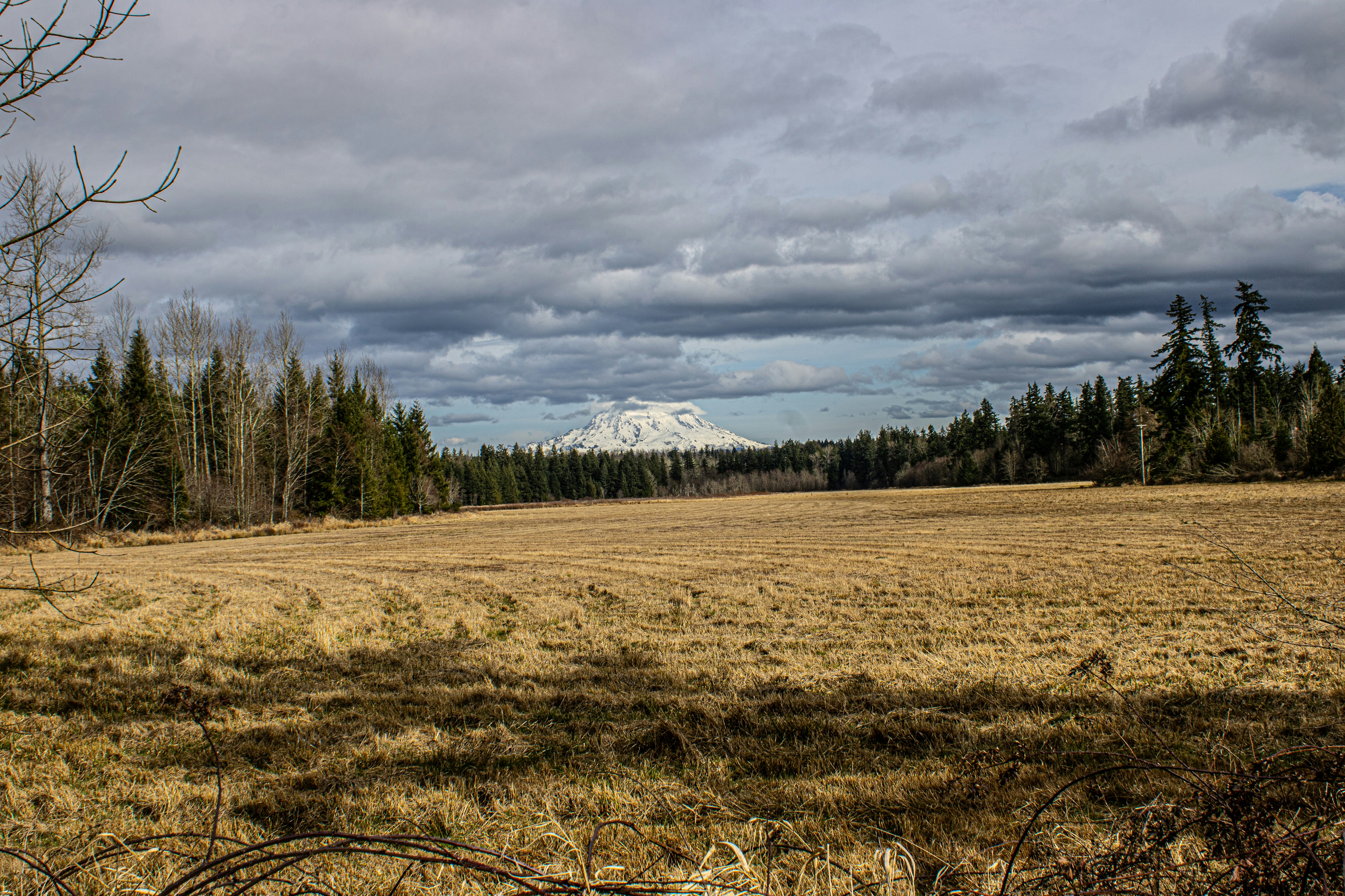 Photo by prphotography262