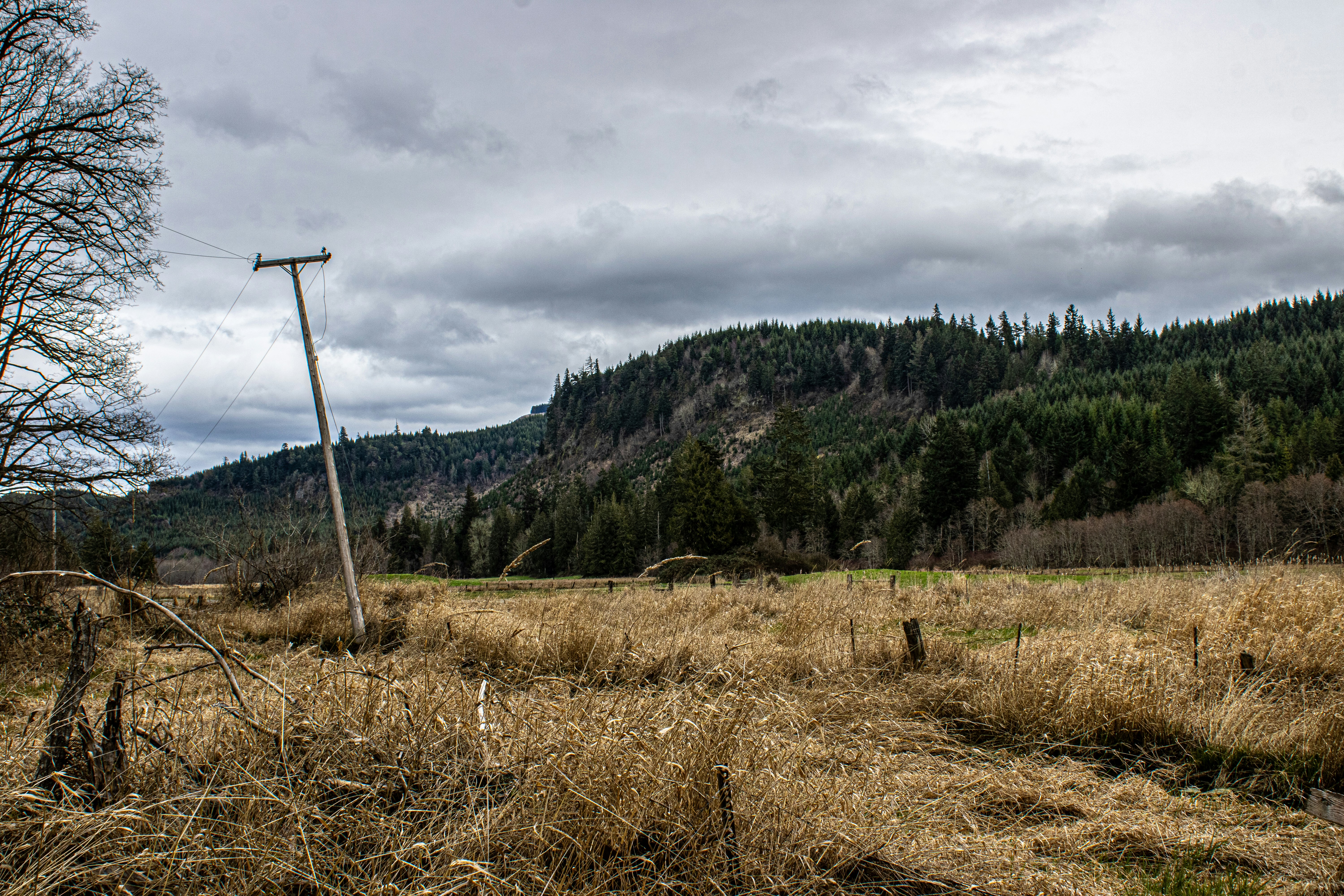 Photo by prphotography262