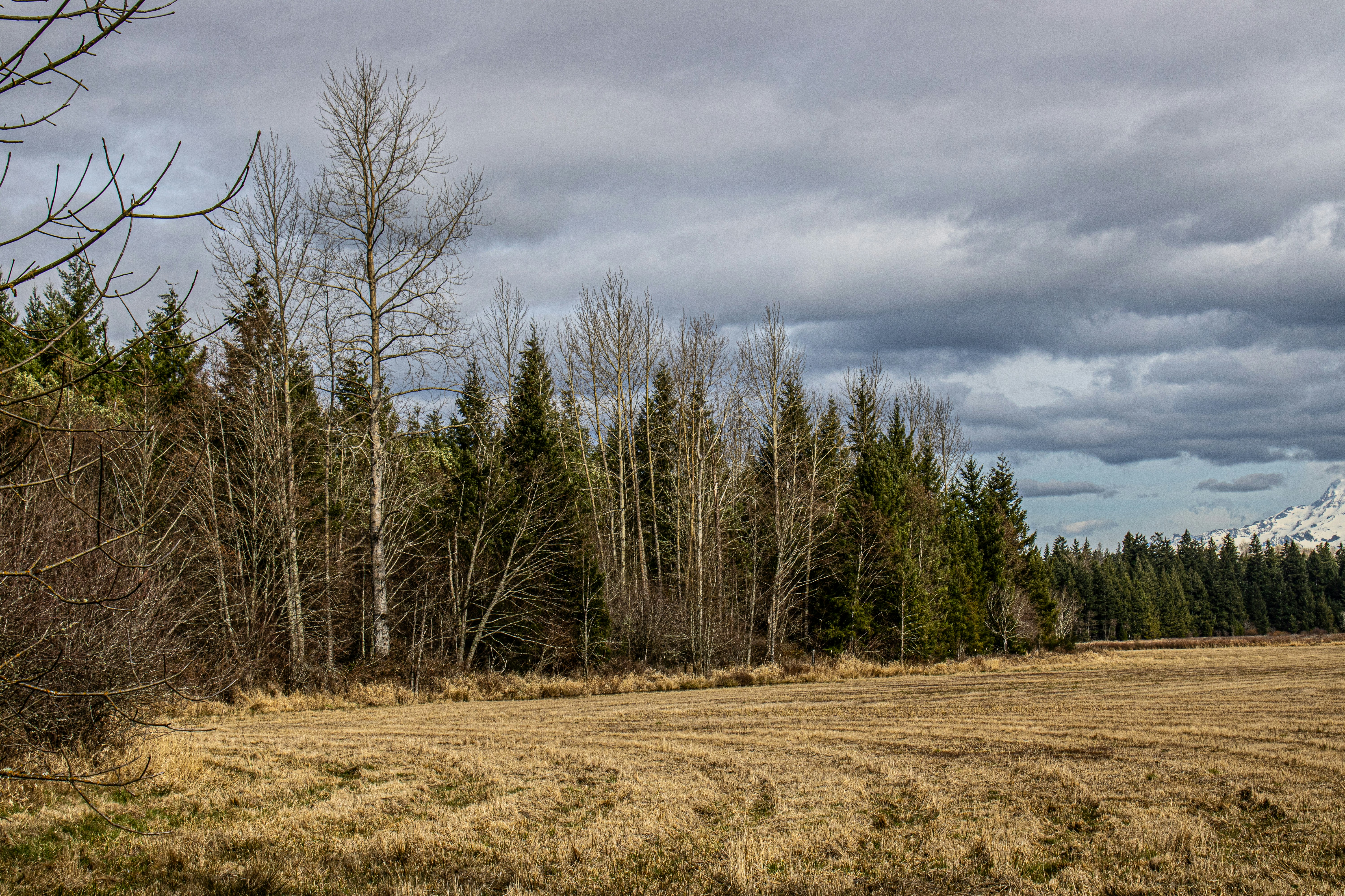 Photo by prphotography262