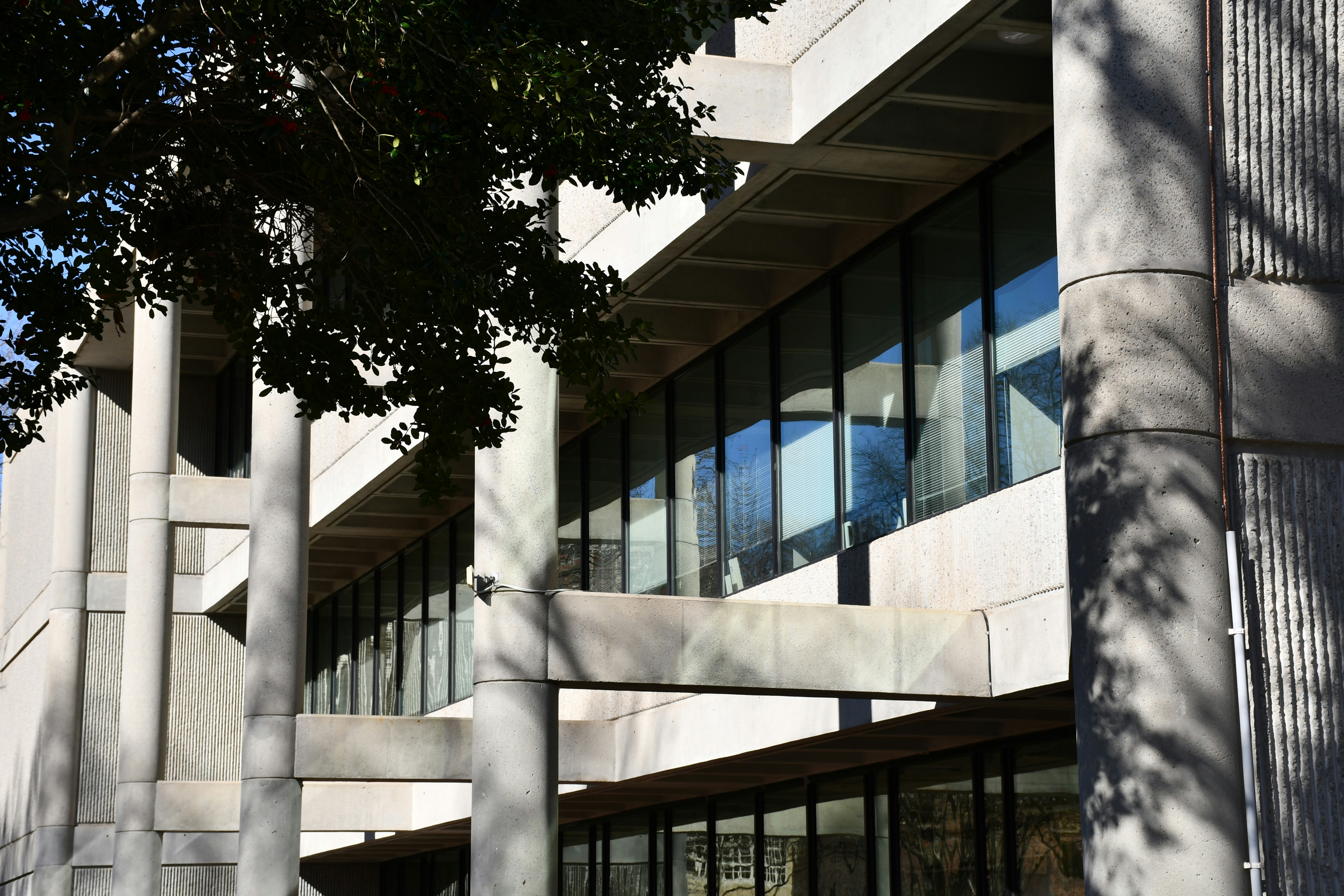 Photo by naturalist_boat