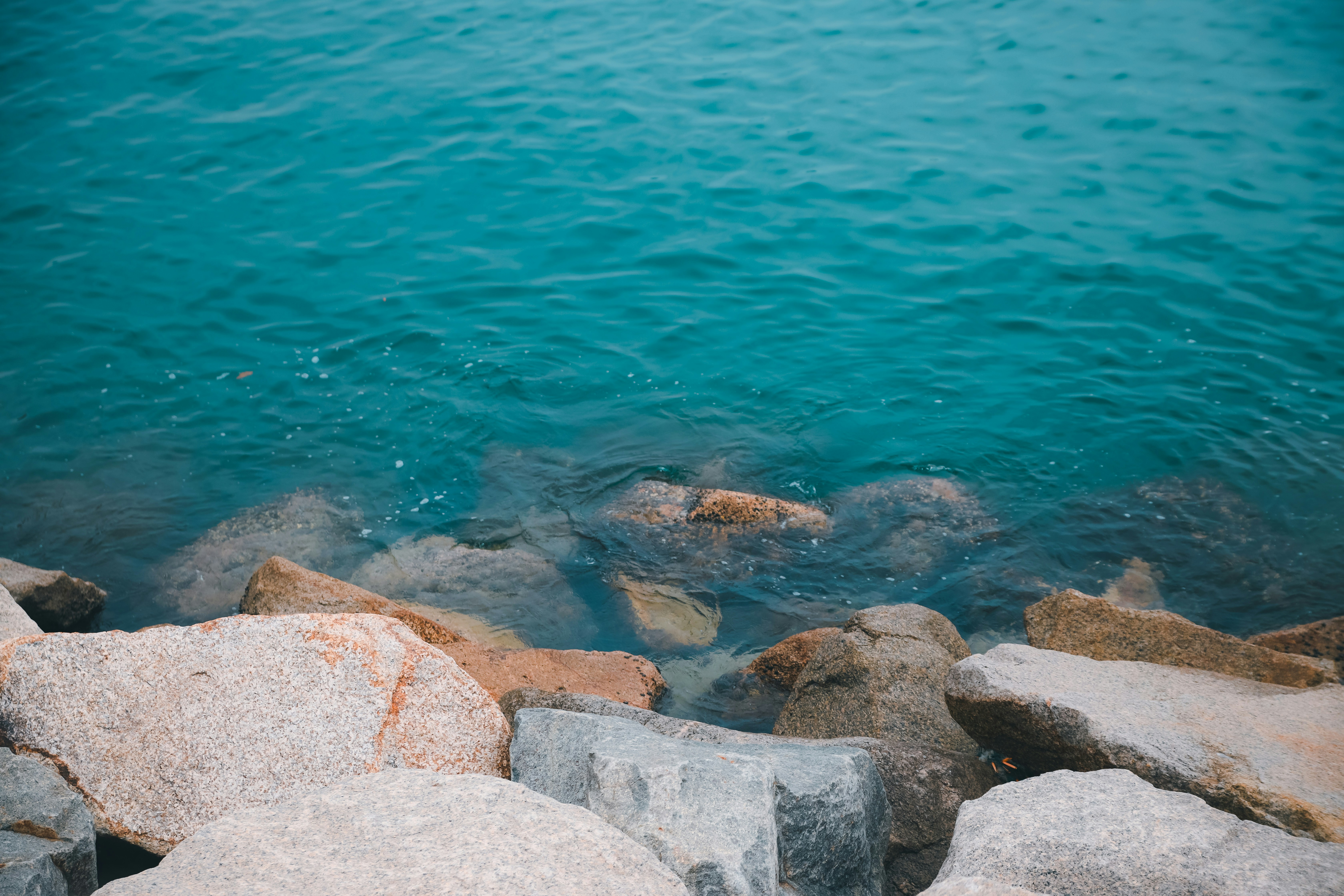 Photo by unclpenguin