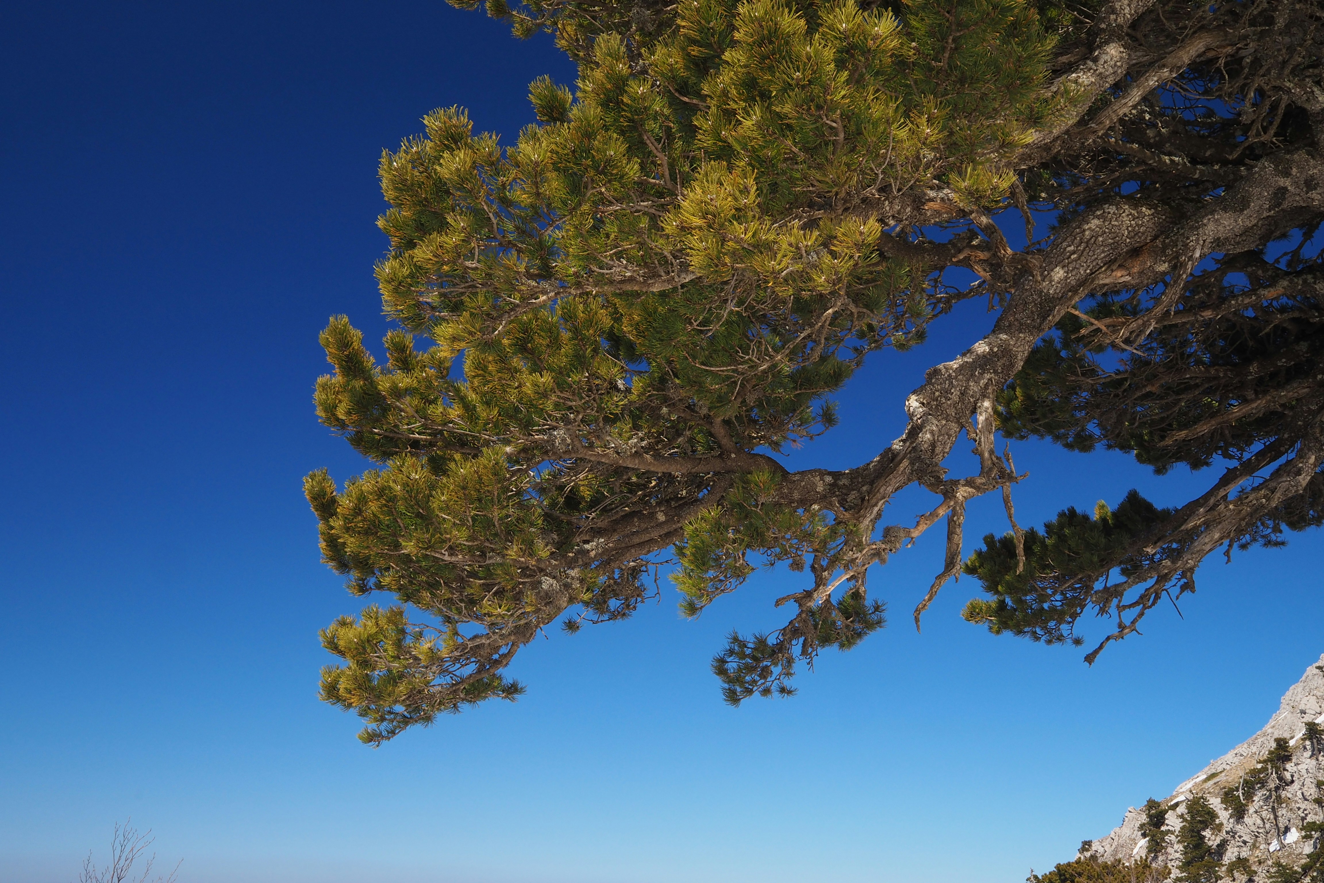 Photo by nodichotomy