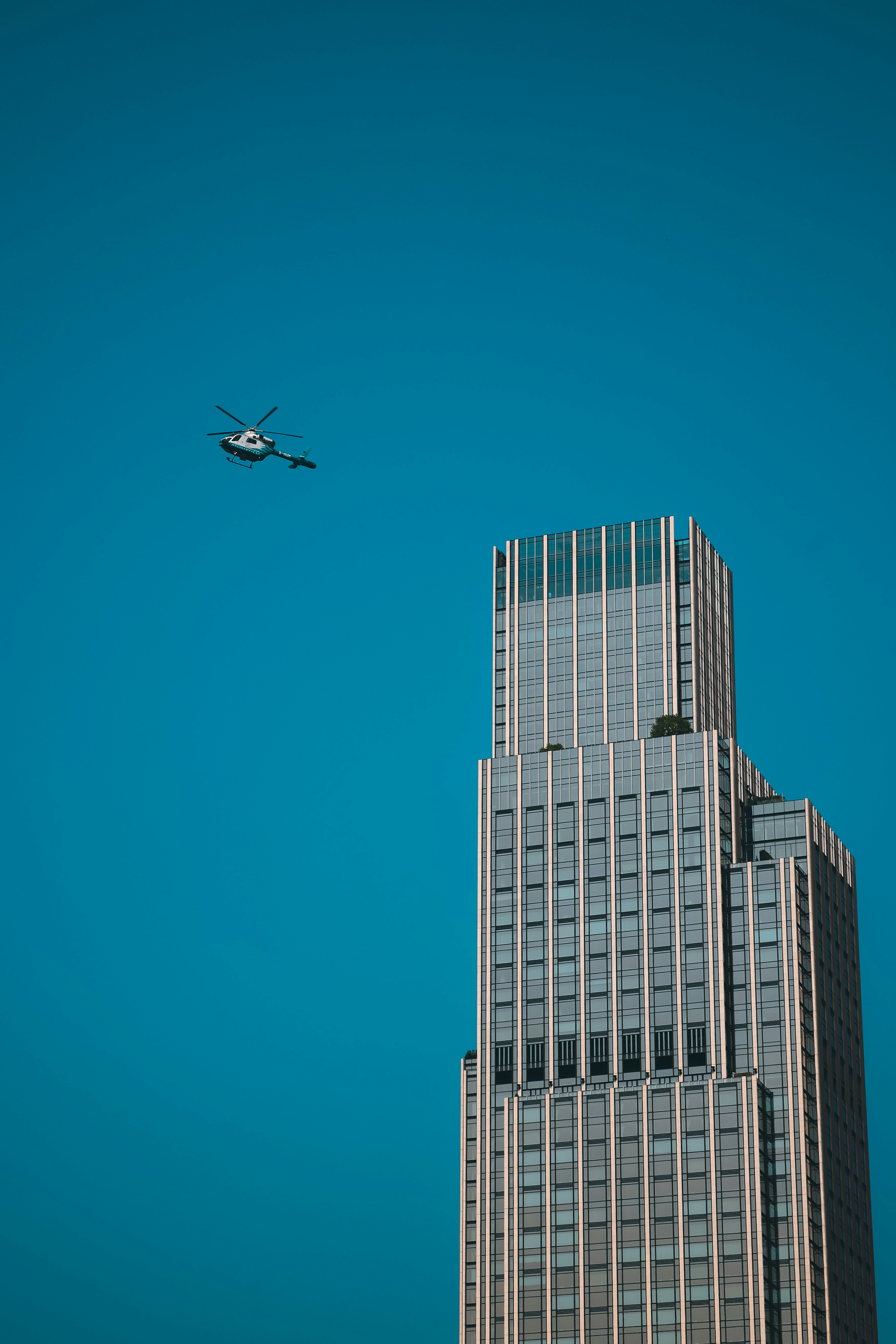 Photo by unclpenguin