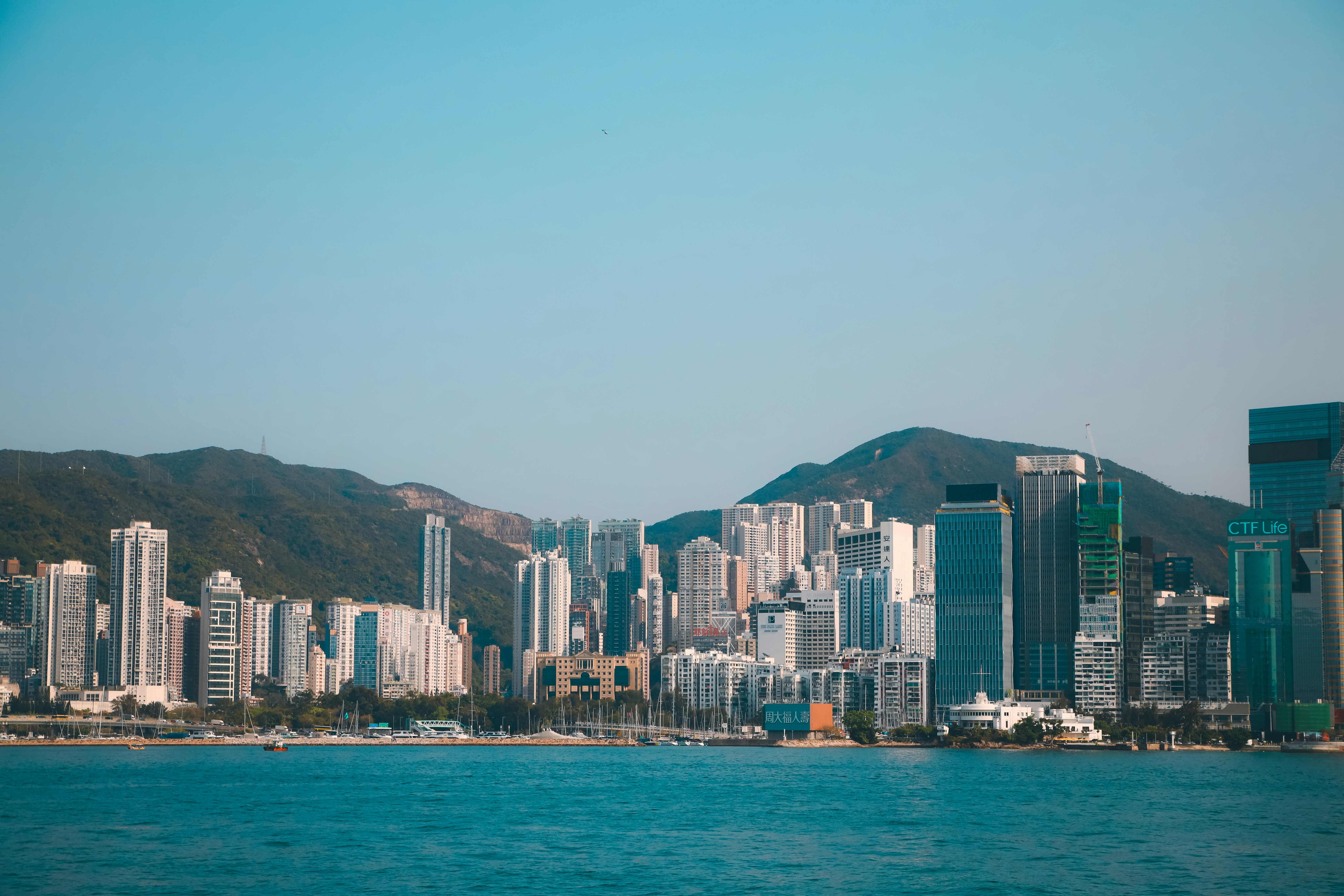 Photo by unclpenguin