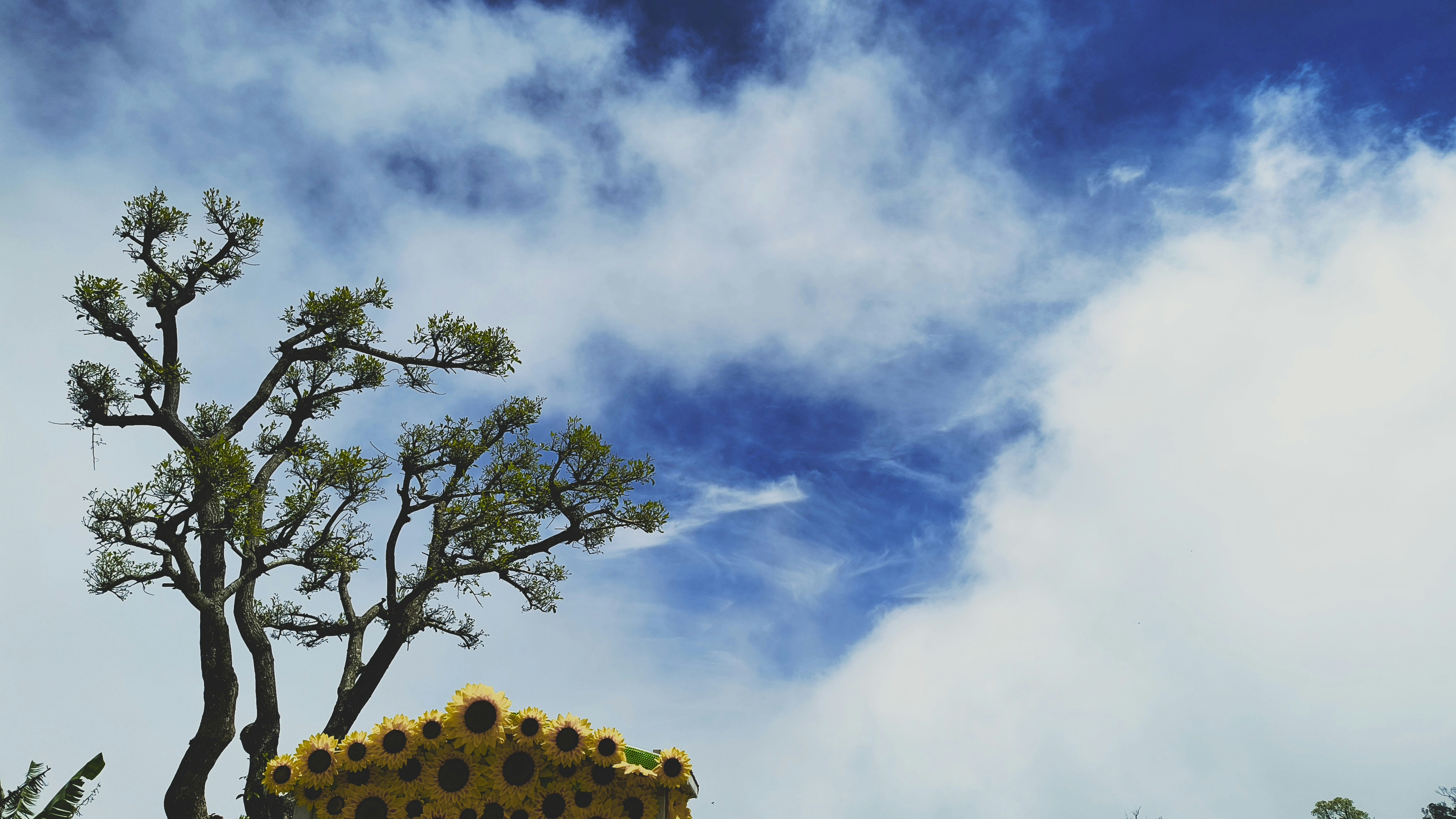 Powerful 'Where Winds Meet' Quotes to Heal a Lost Soul