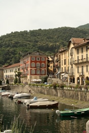Boats docked in a quaint town by the water.
