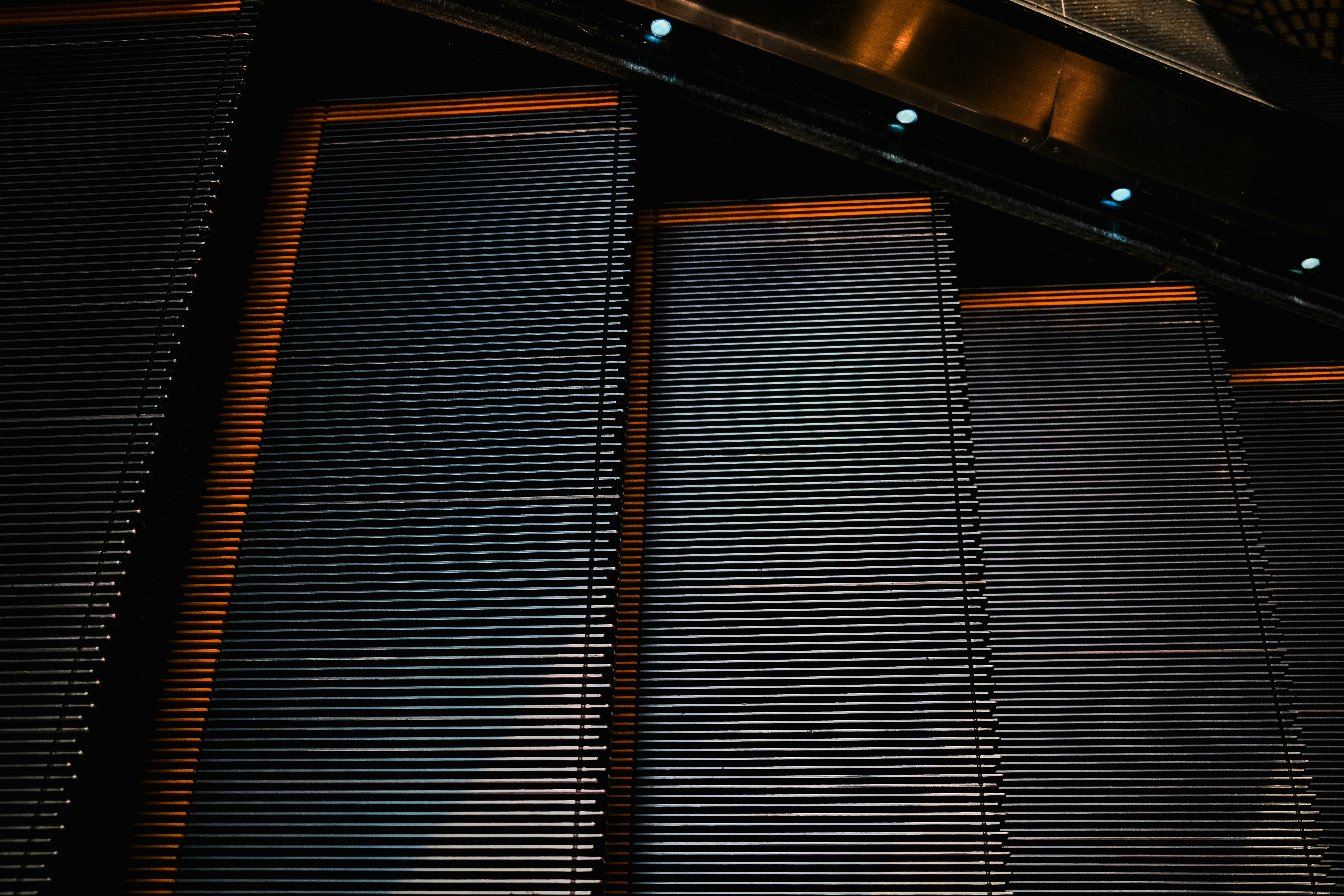 Photo by kalaniparker