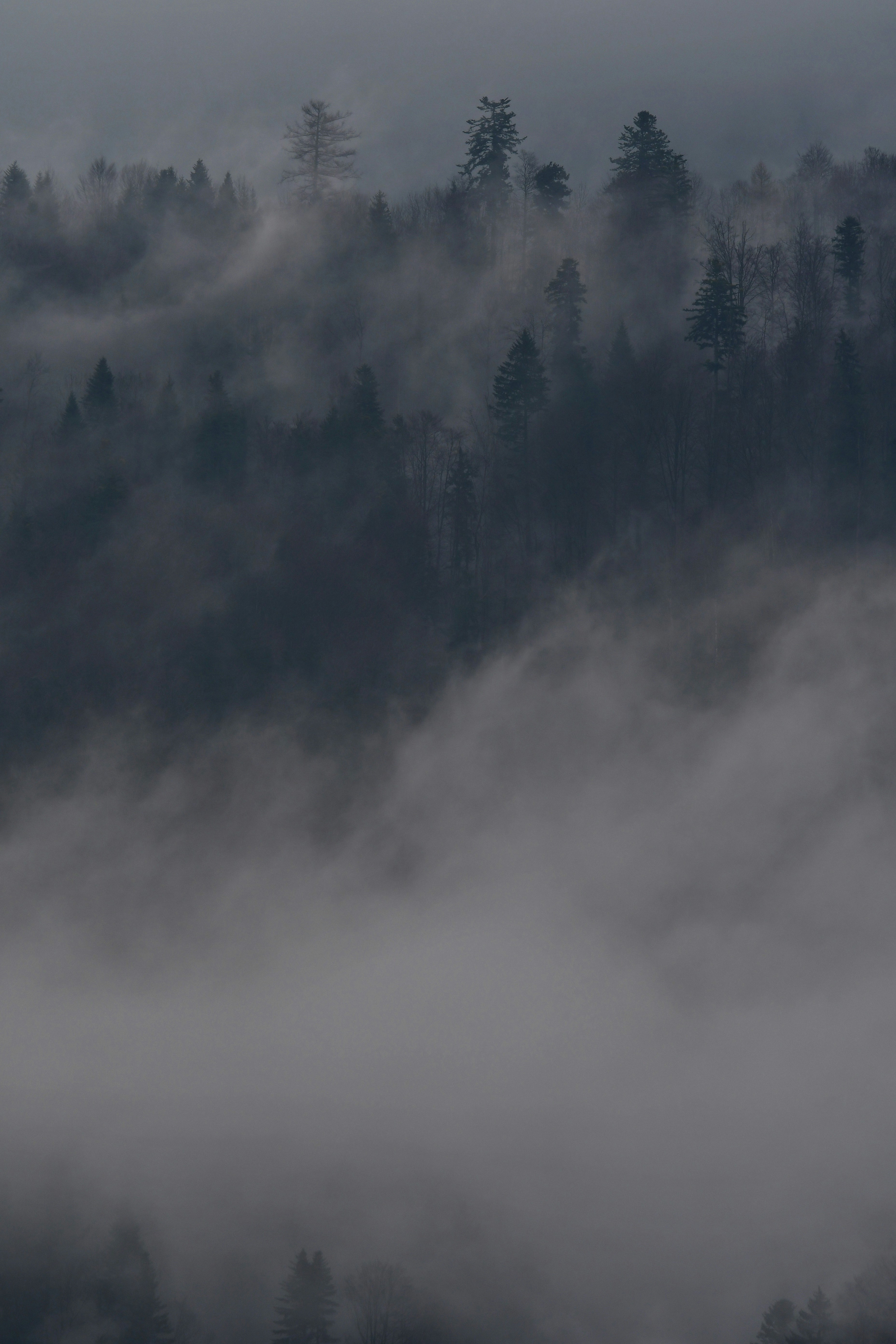 Photo by pedrino5_official