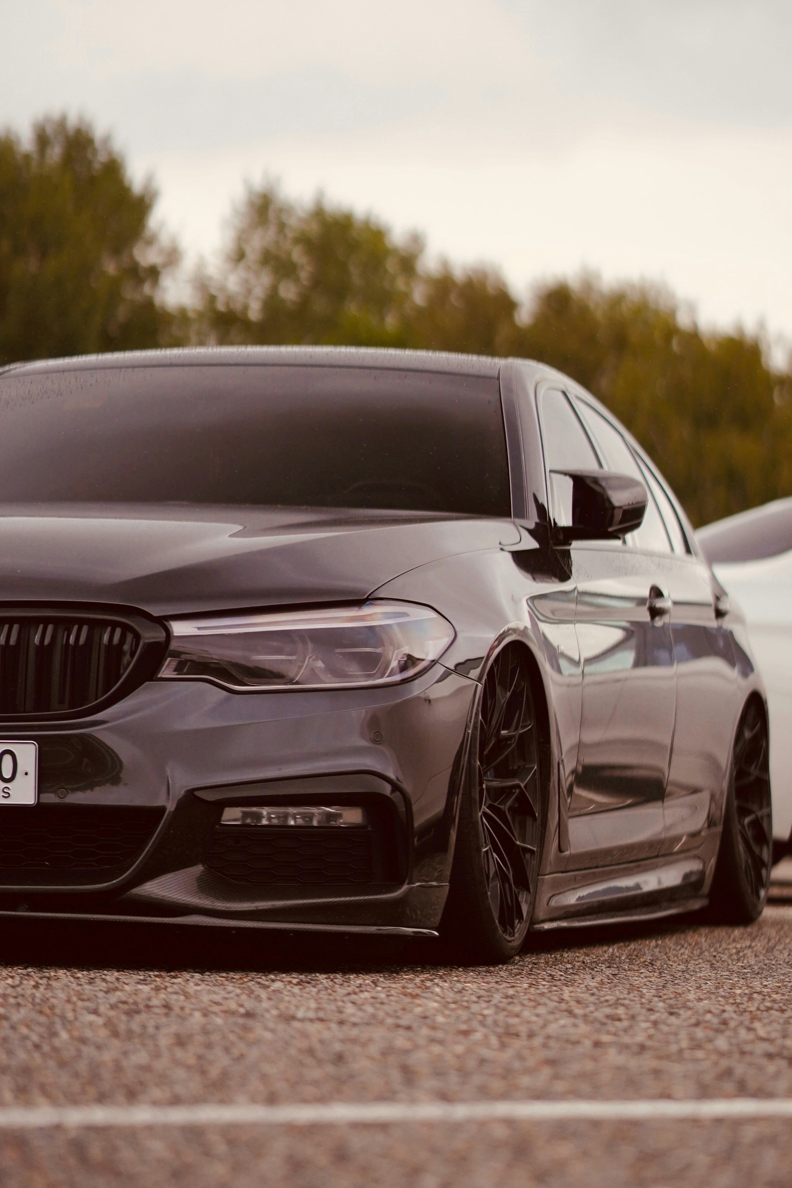 Photo by iigubarenko