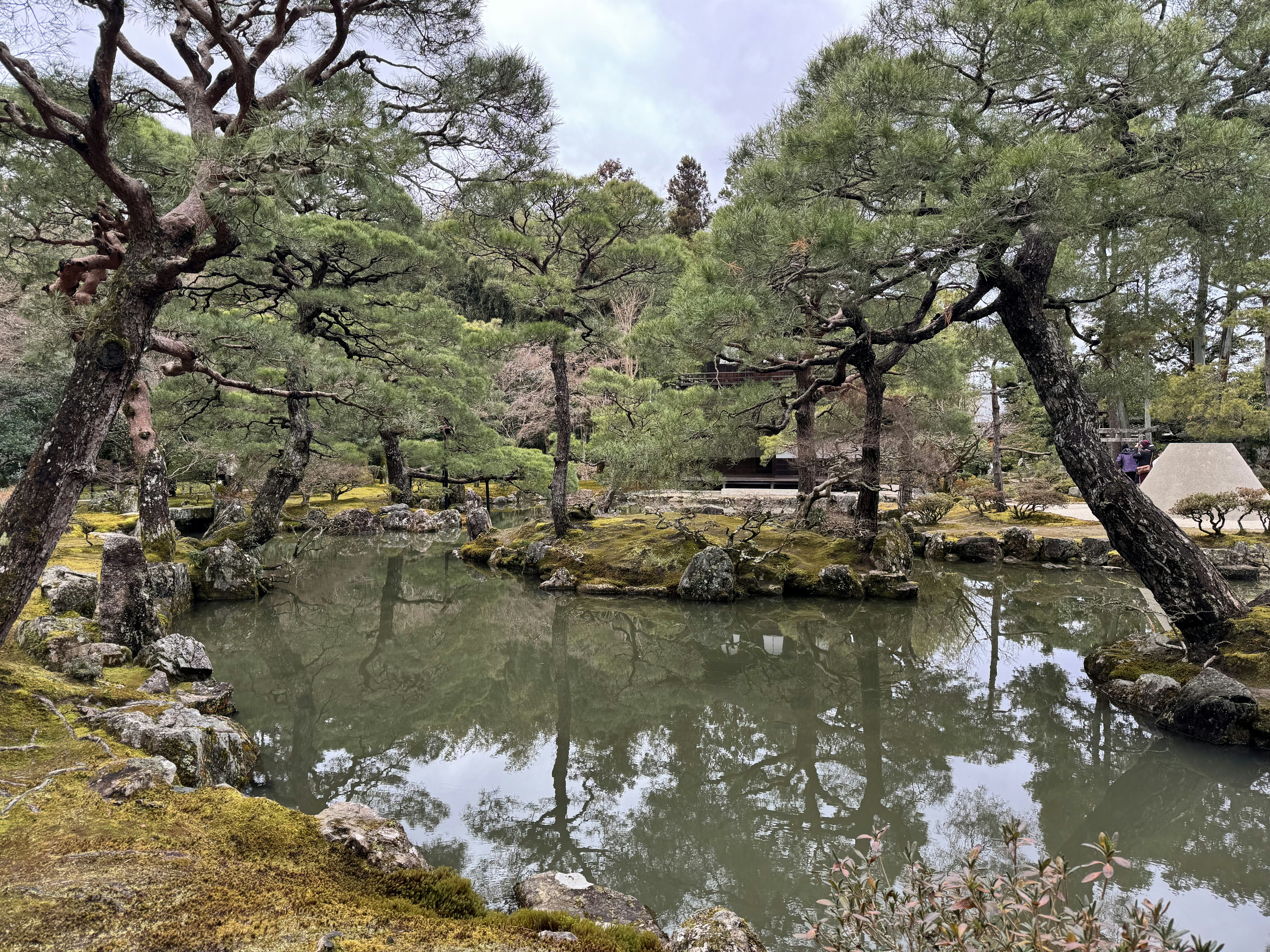 Photo by thewallpaperguy