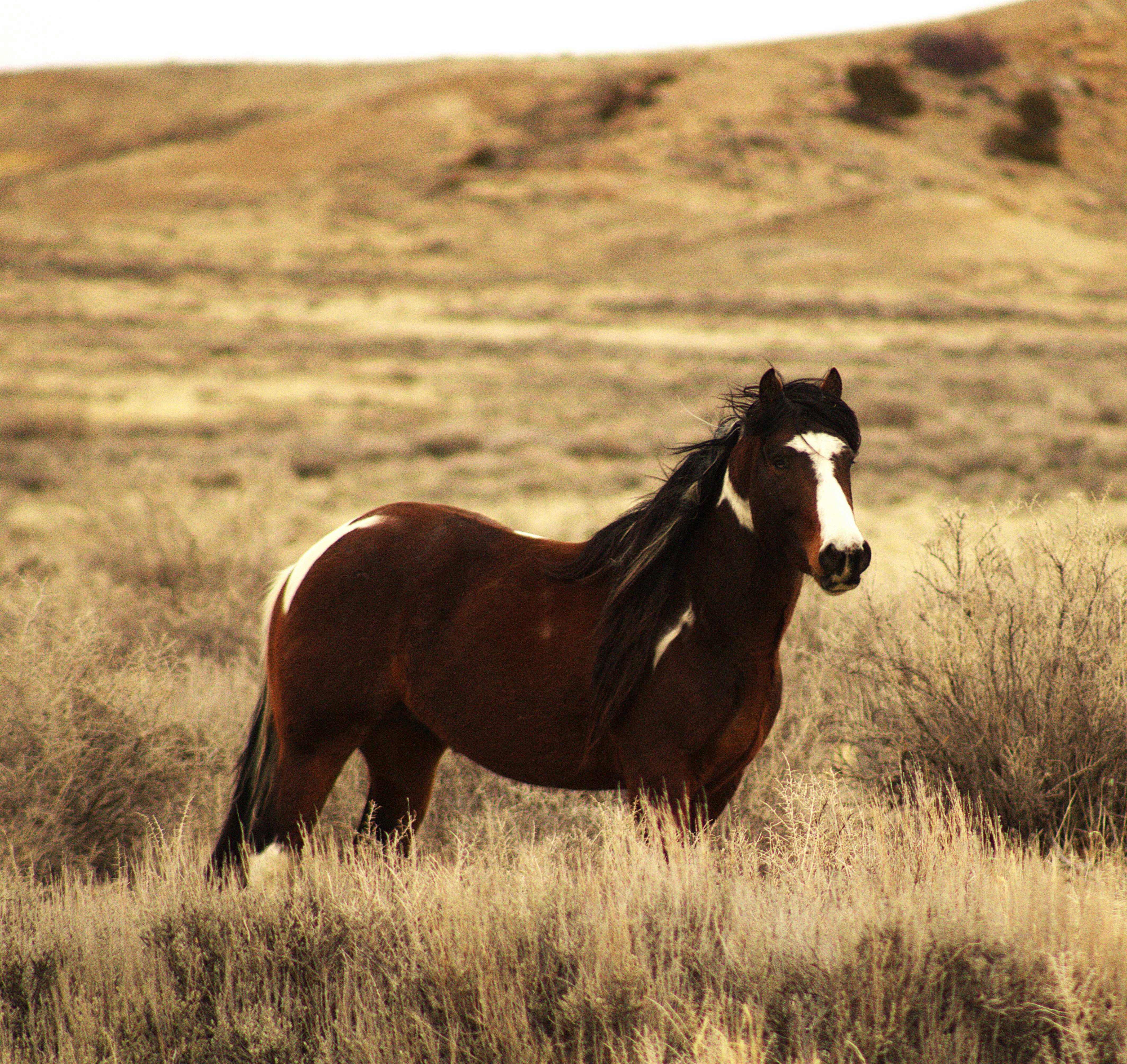 Photo by chipmunkrapidsmadman