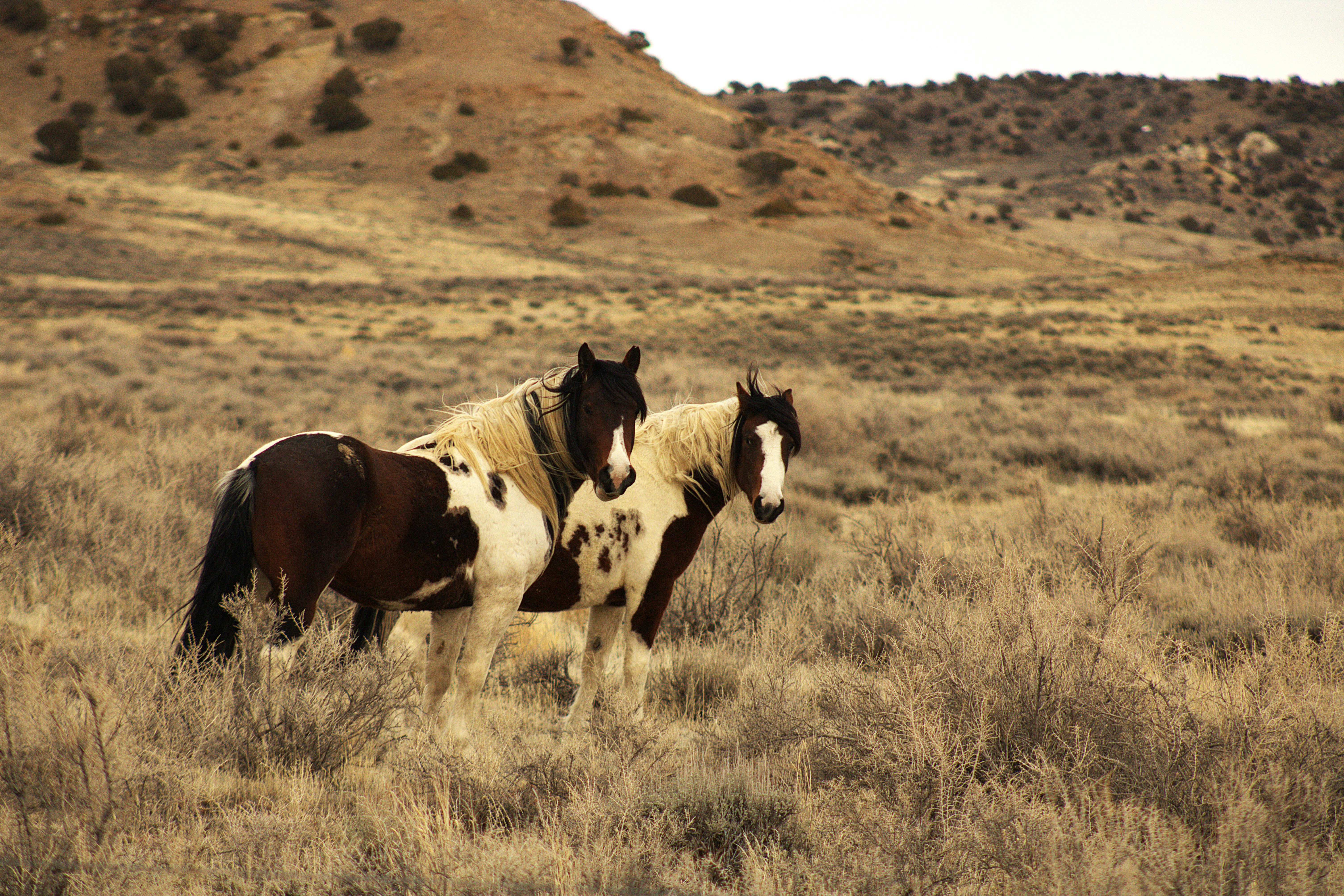 Photo by chipmunkrapidsmadman