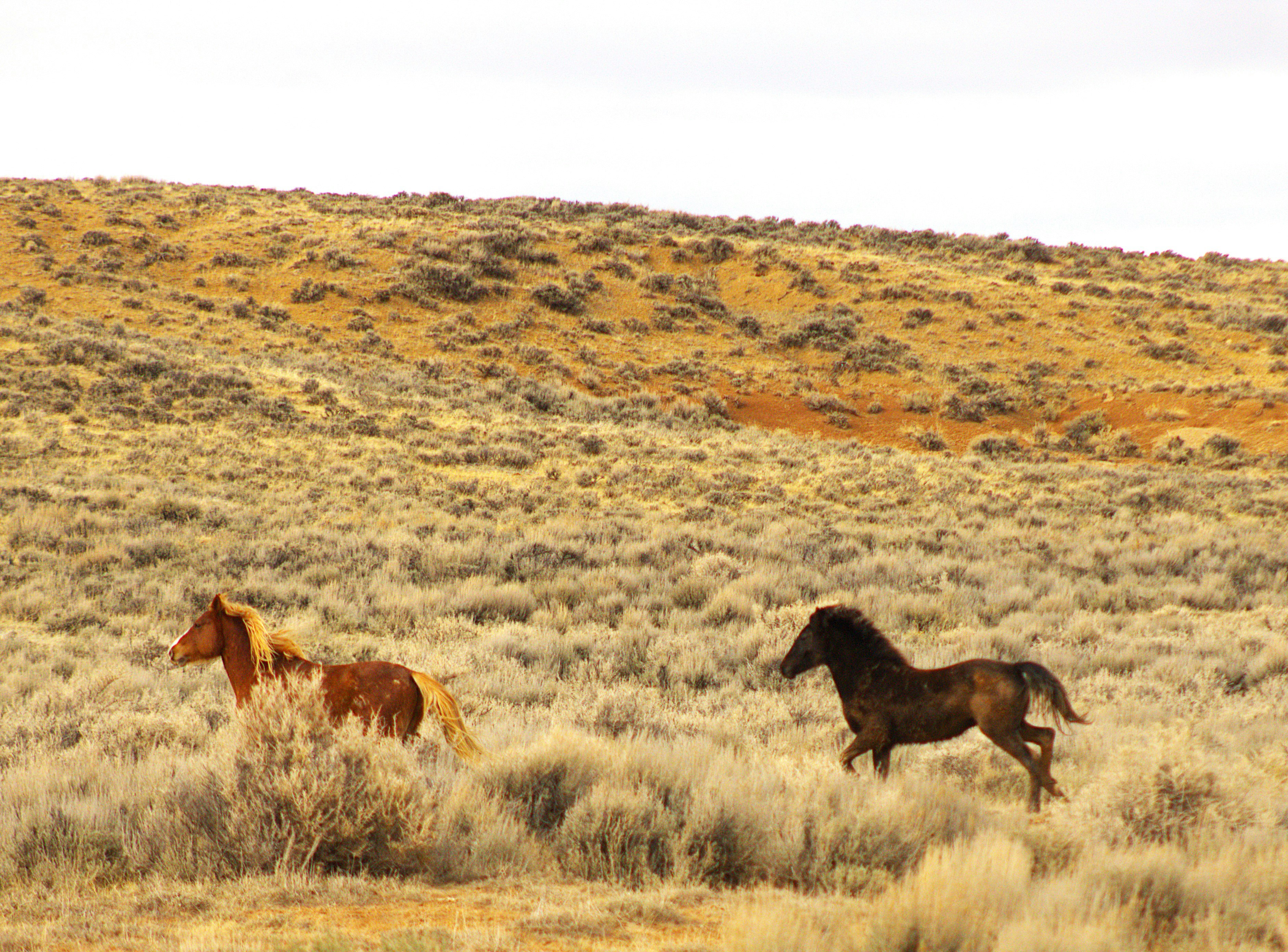 Photo by chipmunkrapidsmadman