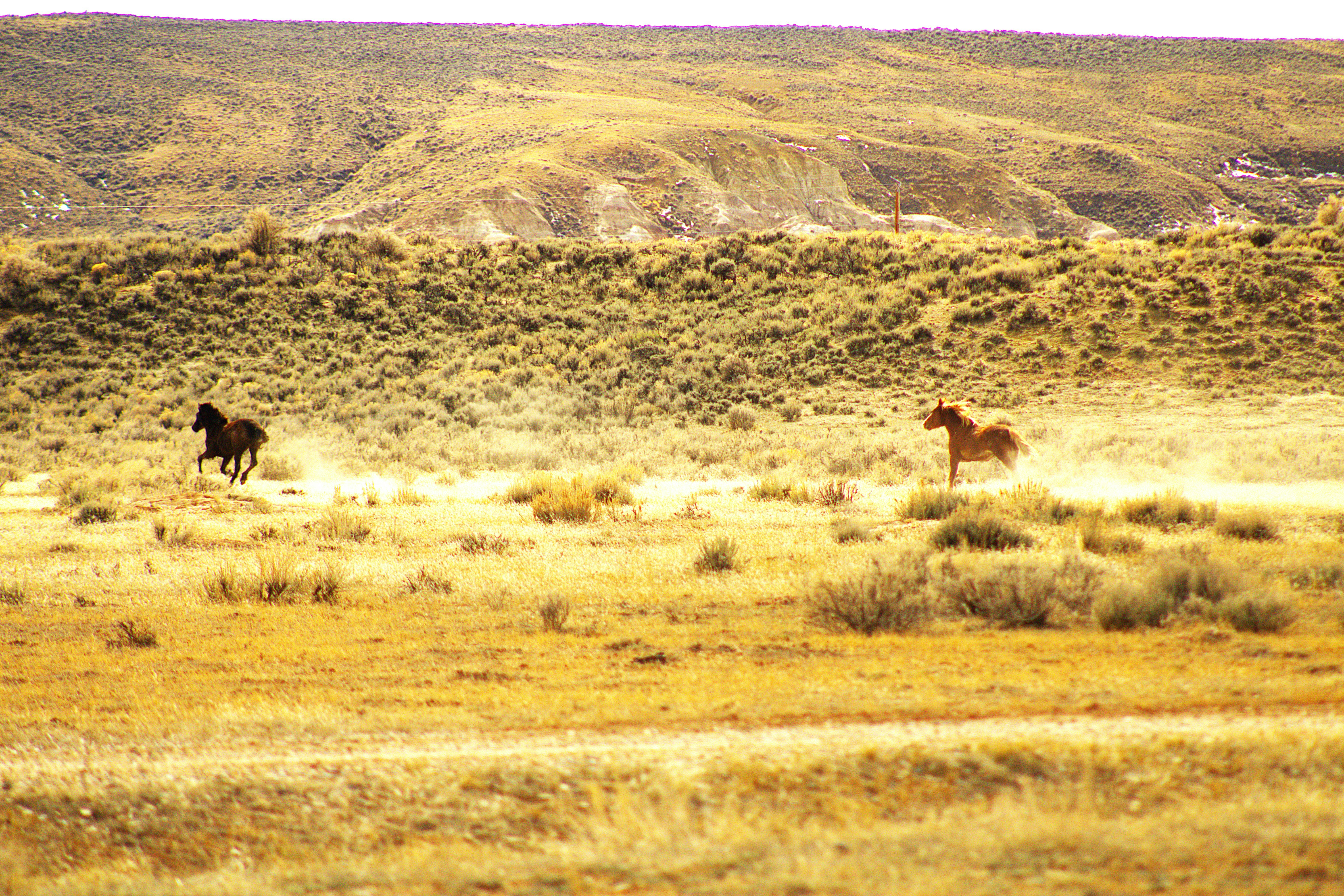 Photo by chipmunkrapidsmadman