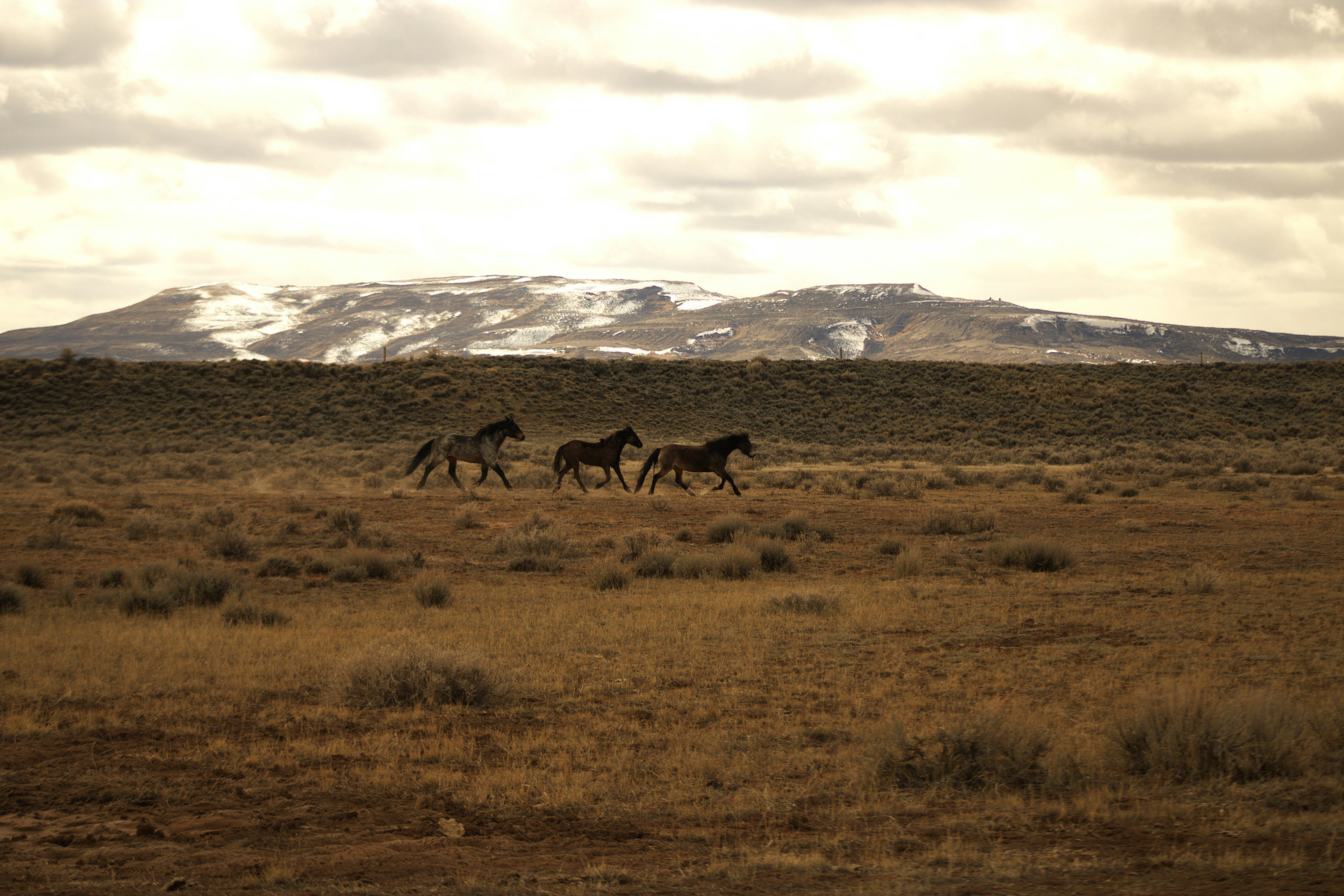 Photo by chipmunkrapidsmadman