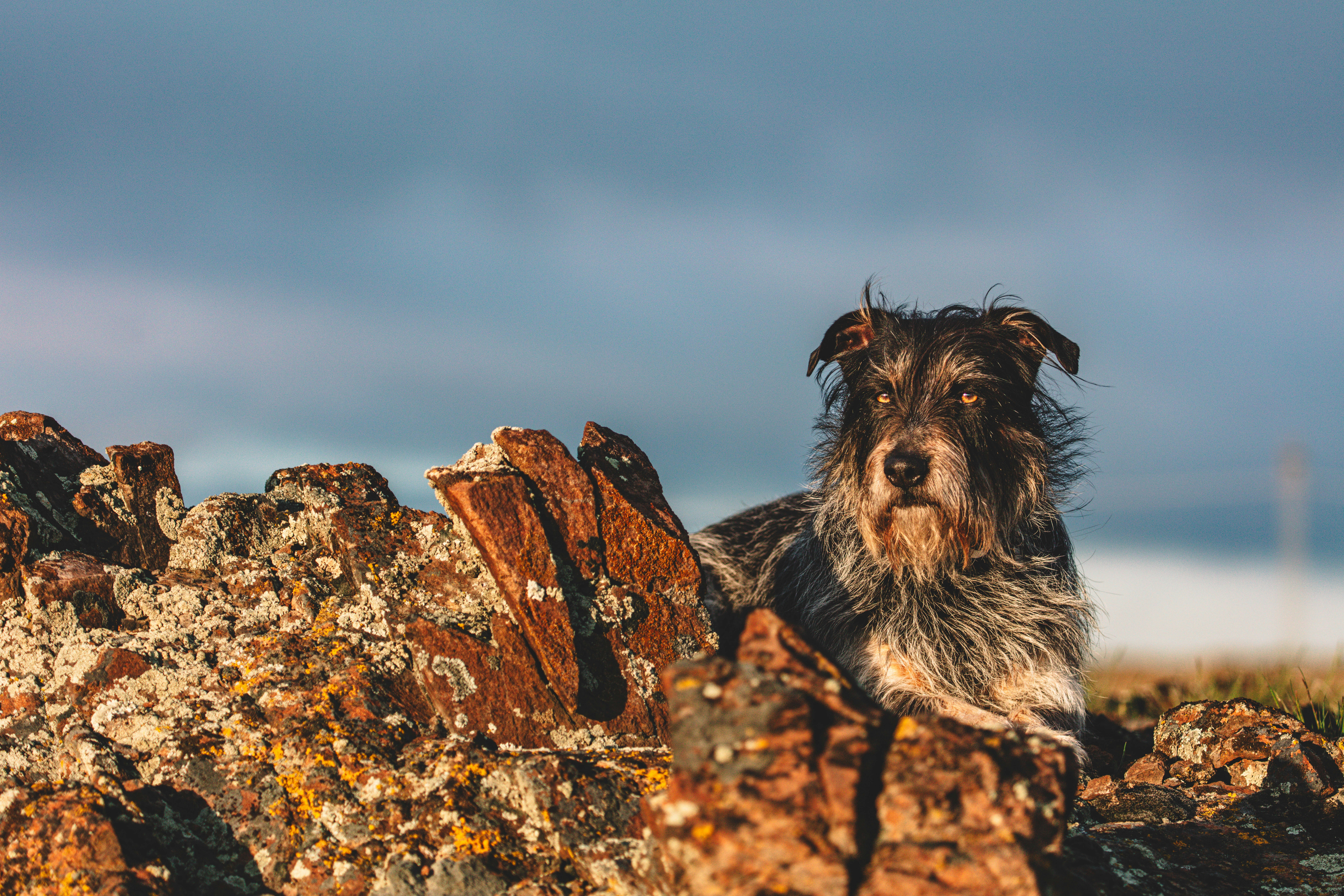 Photo by worldsbetweenlines