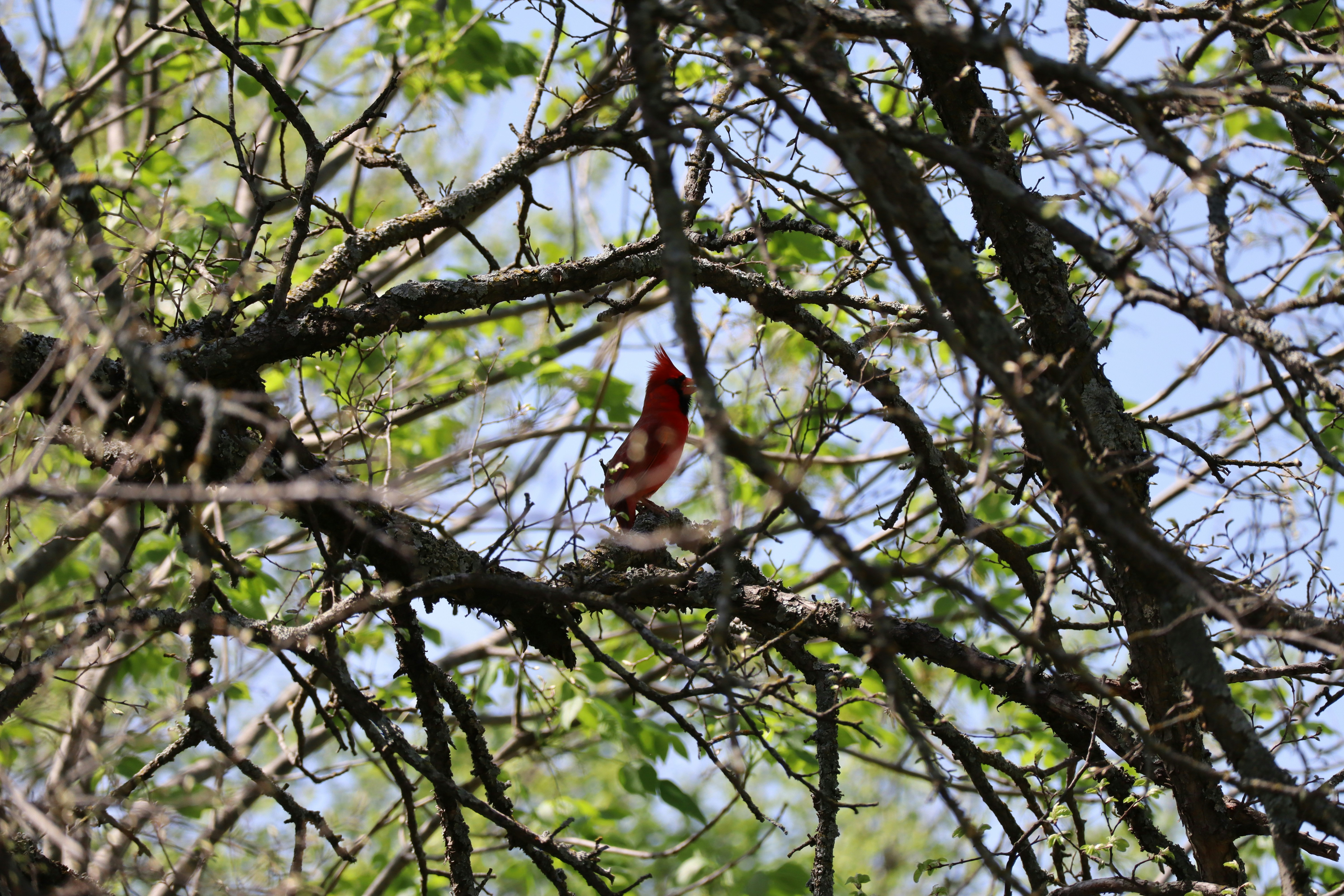 Photo by qumrati