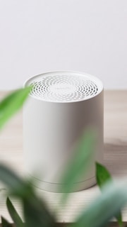 A white speaker sits near some leafy plants.