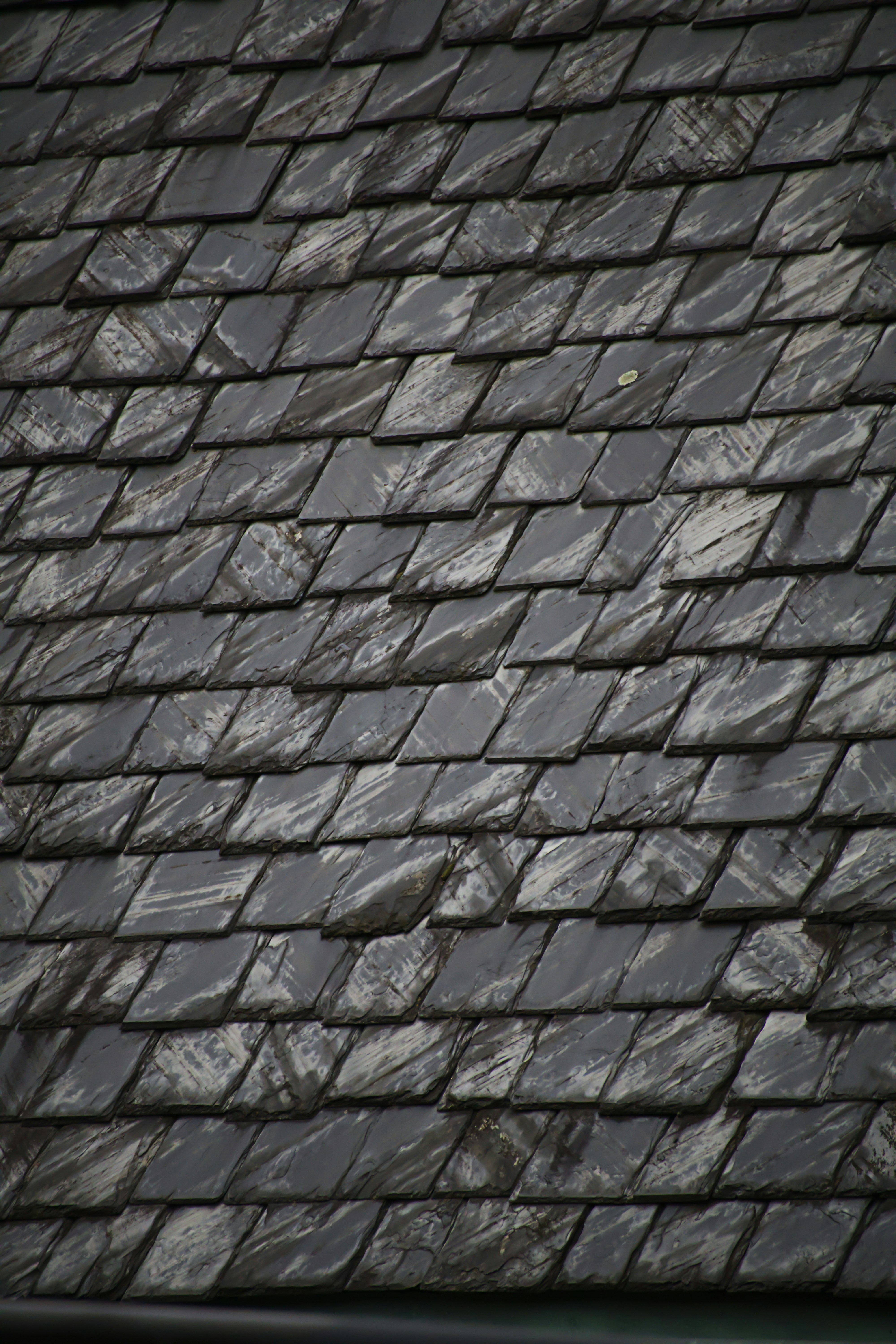 Tile & Slate Roofing