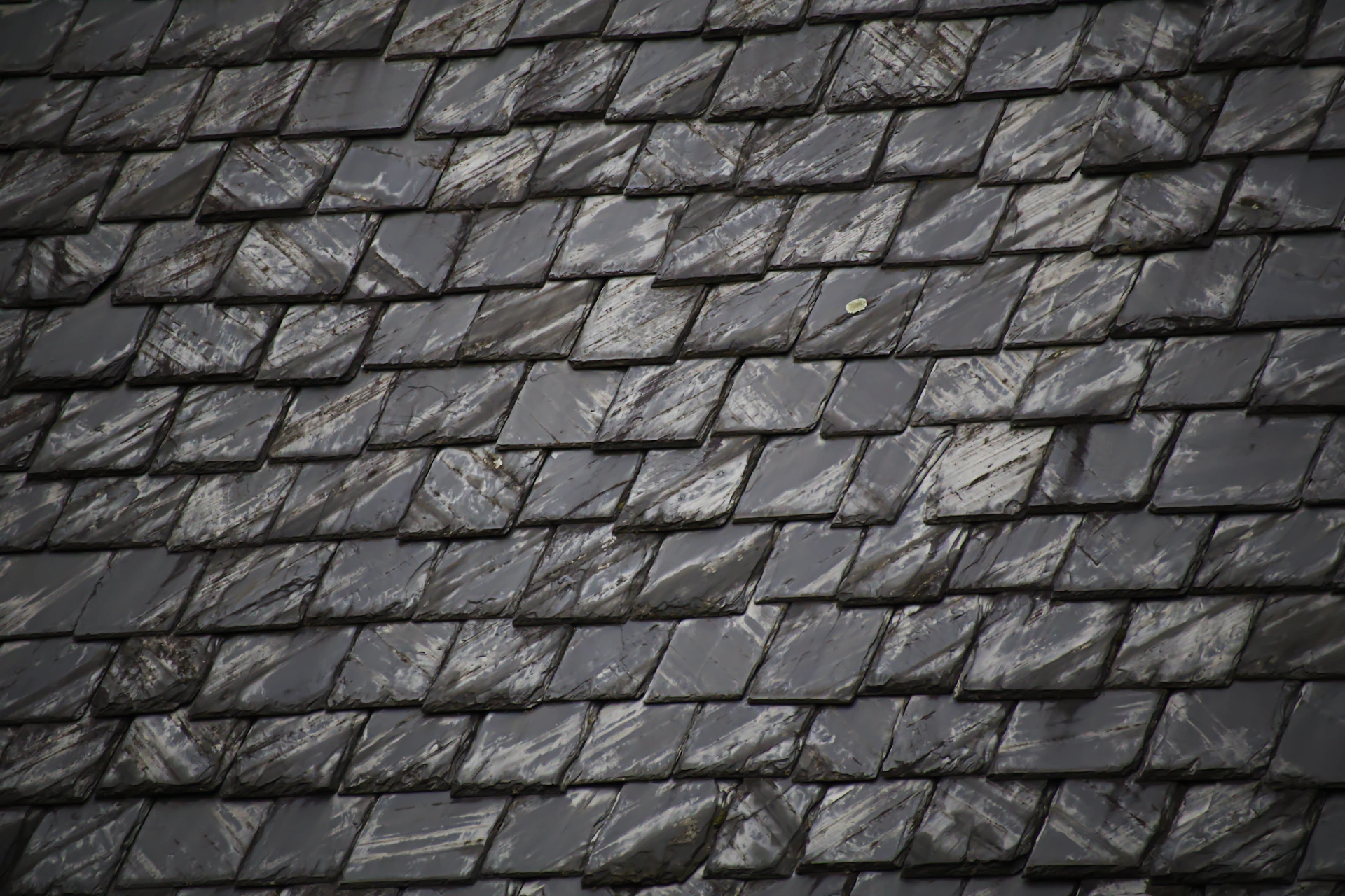 After — clean gray slate roof tiles in good condition