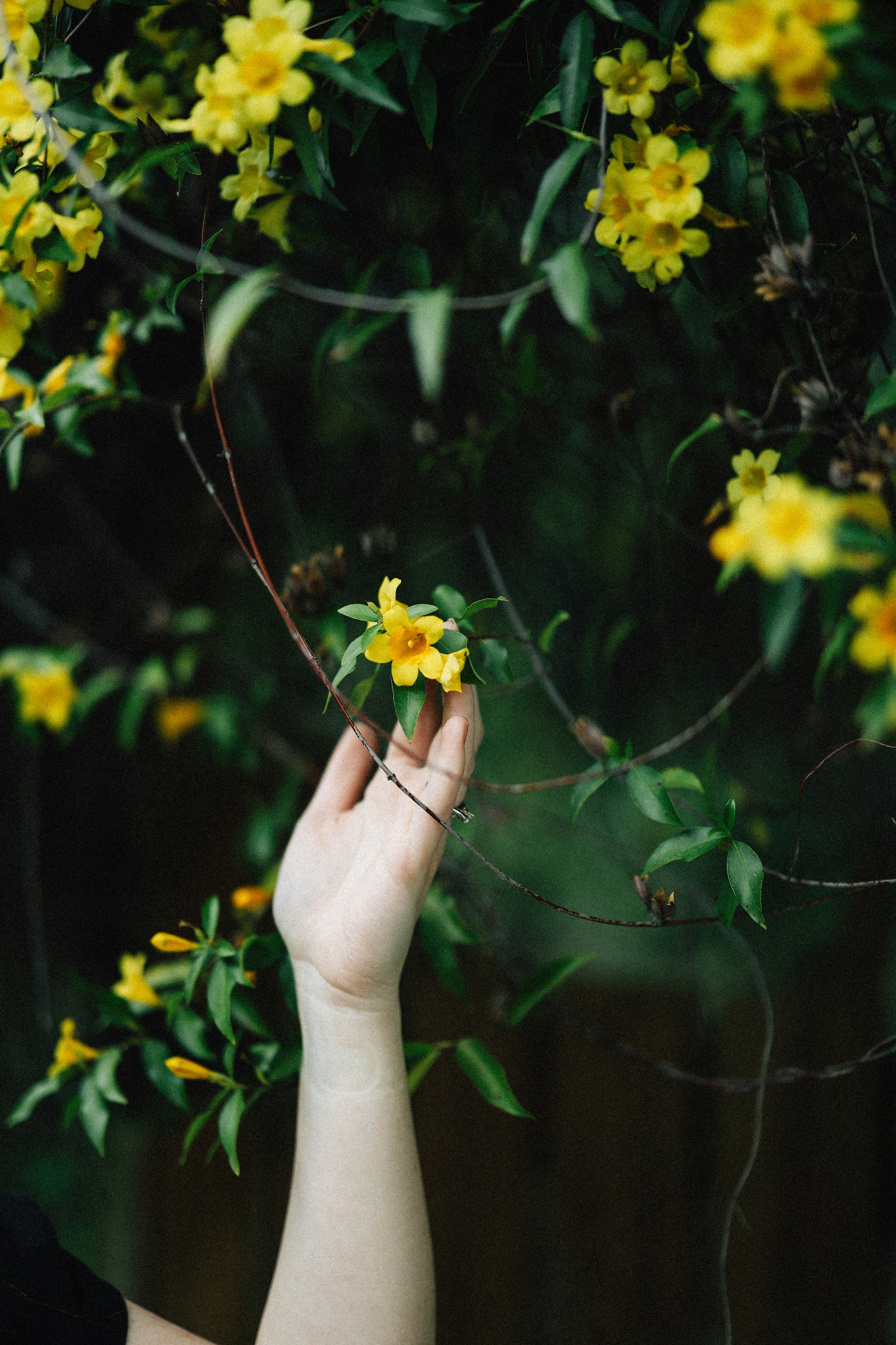 Photo by brookebalentine